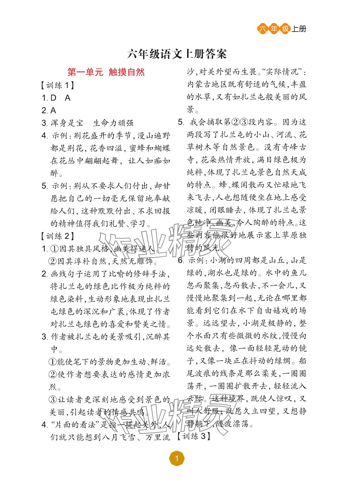 2025年阅读理解专项训练六年级语文上册人教版 参考答案第1页