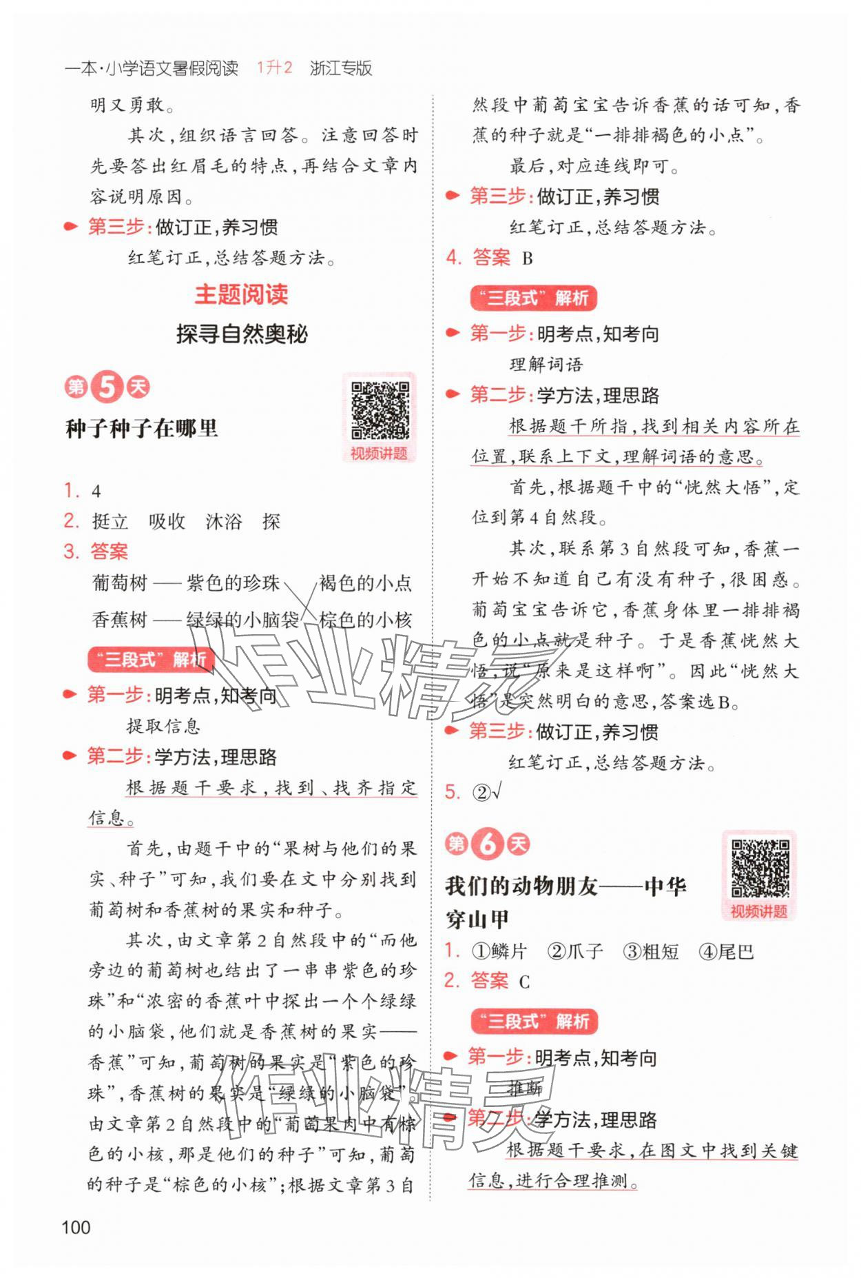 2025年一本暑假閱讀1升2語文浙江專版 第4頁
