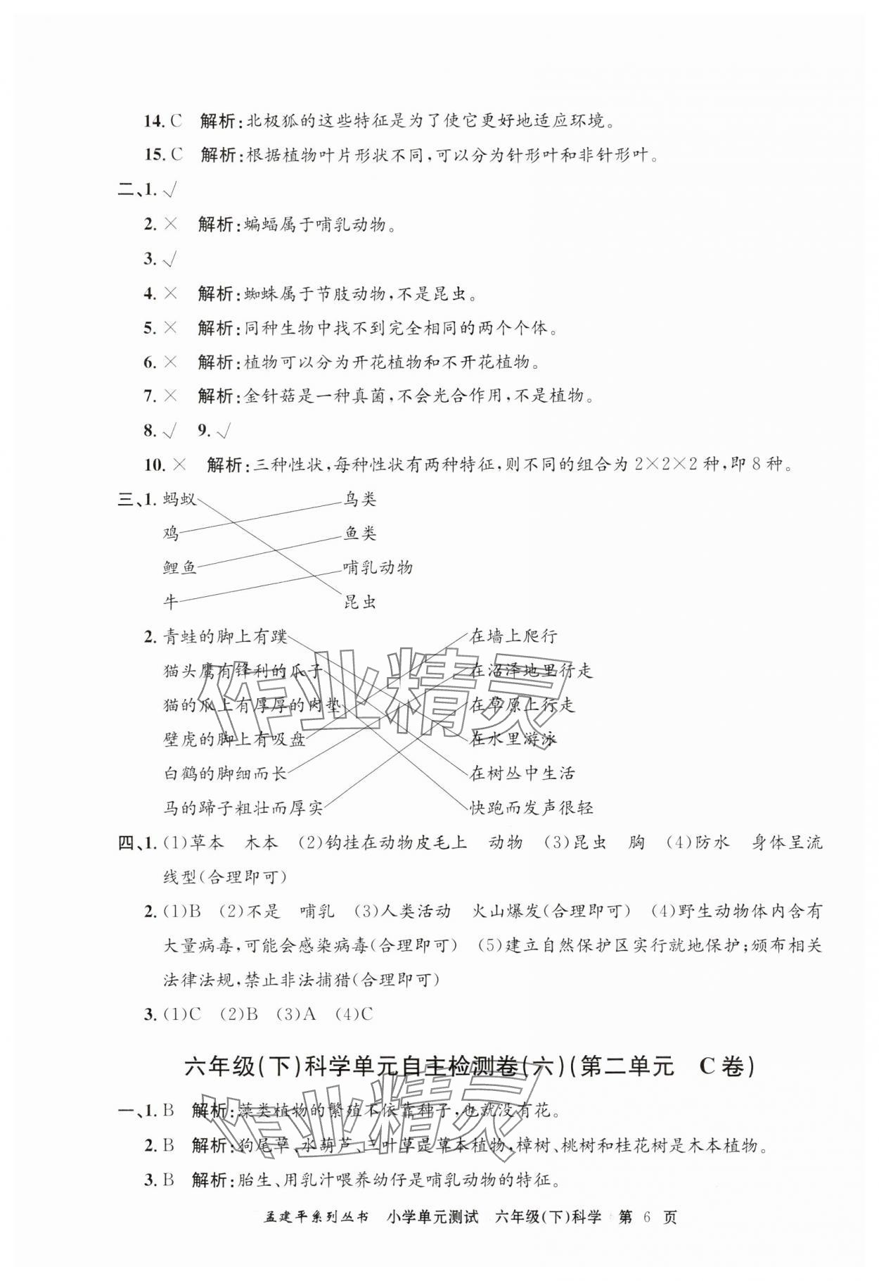 2024年孟建平單元測試六年級科學(xué)下冊教科版 第6頁