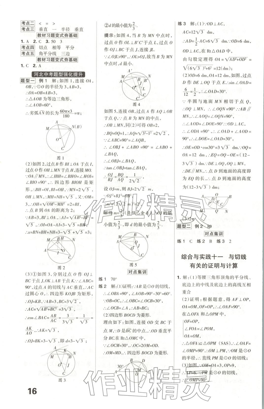 2026年全优中考系统总复习数学河北专版 第16页