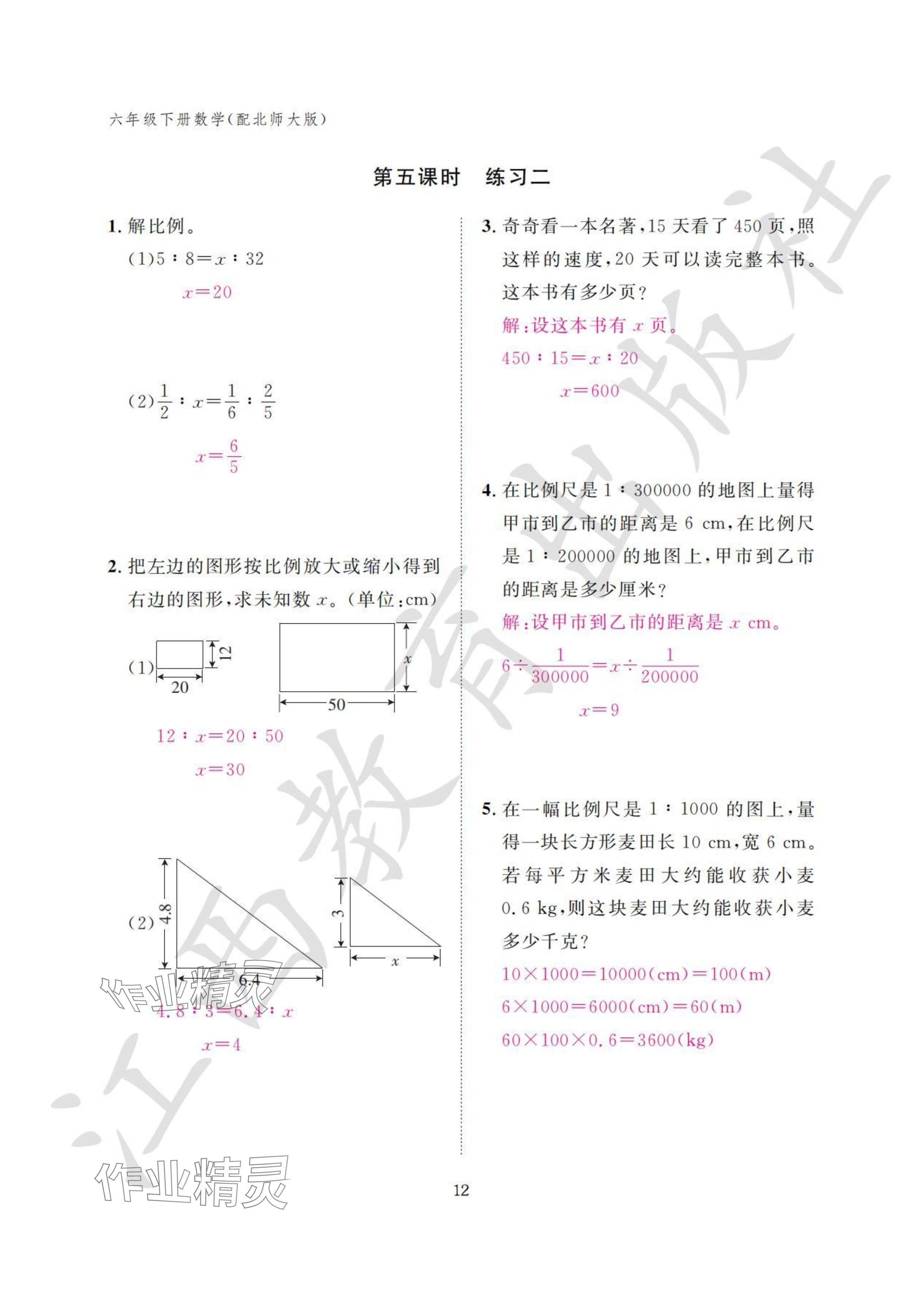 2024年作业本江西教育出版社六年级数学下册北师大版 参考答案第12页