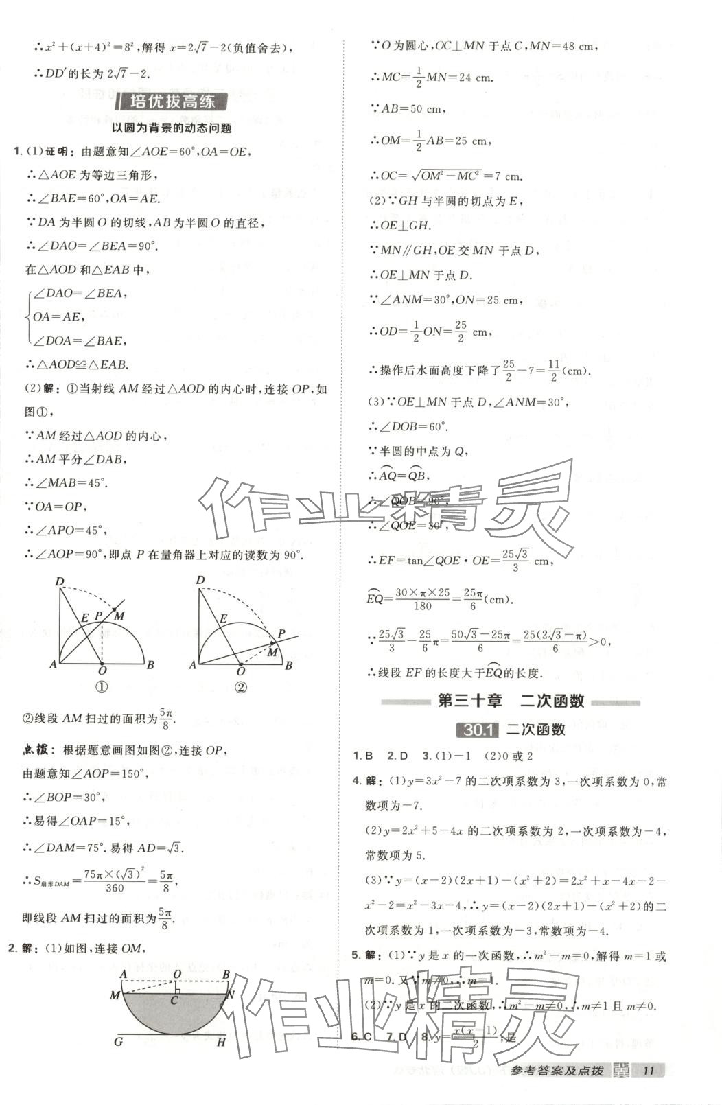 2025年點(diǎn)撥訓(xùn)練九年級數(shù)學(xué)下冊冀教版 第11頁