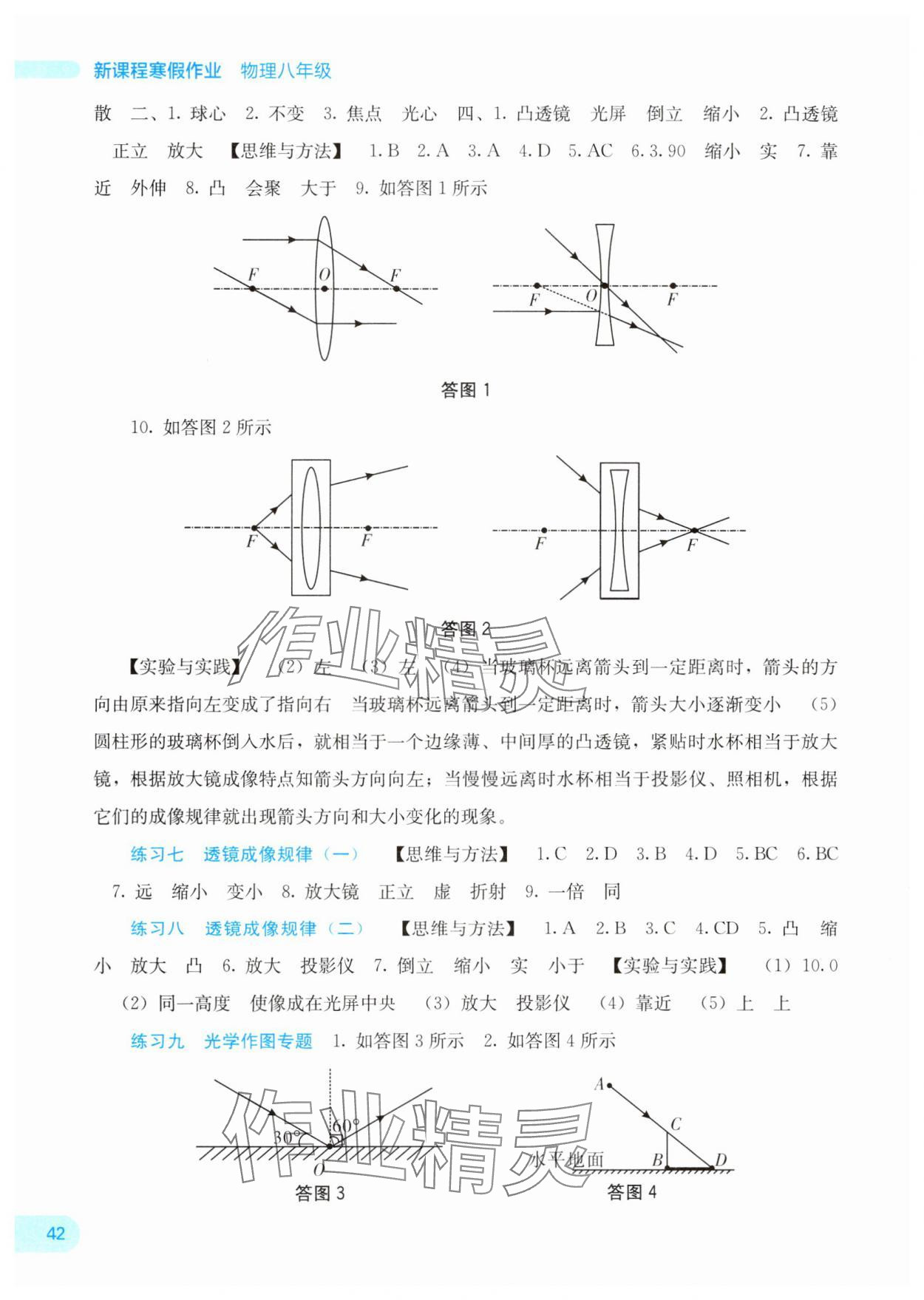 2025年新课程寒假作业广西师范大学出版社八年级物理 第2页