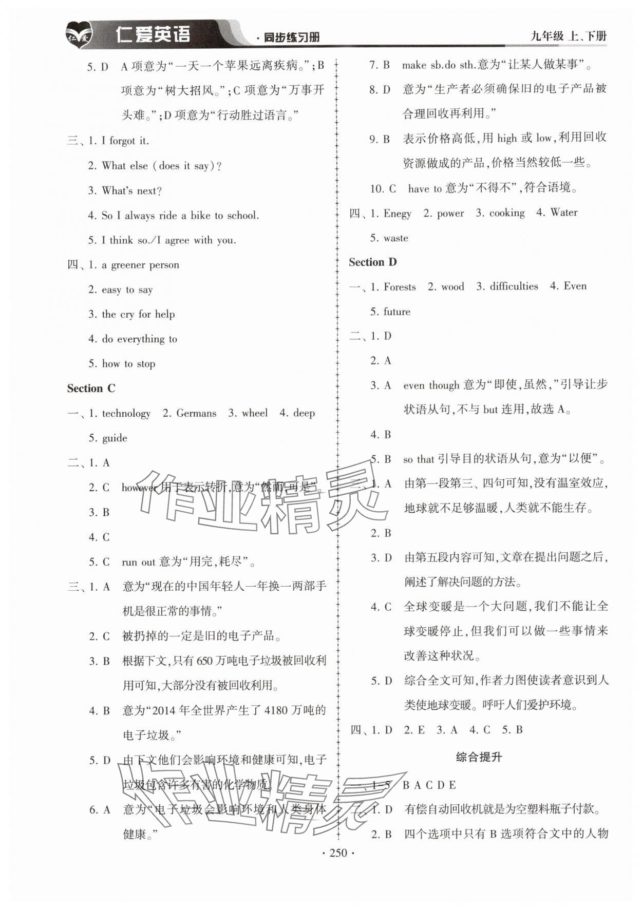 2025年仁爱英语同步练习册九年级英语全一册仁爱版 第14页