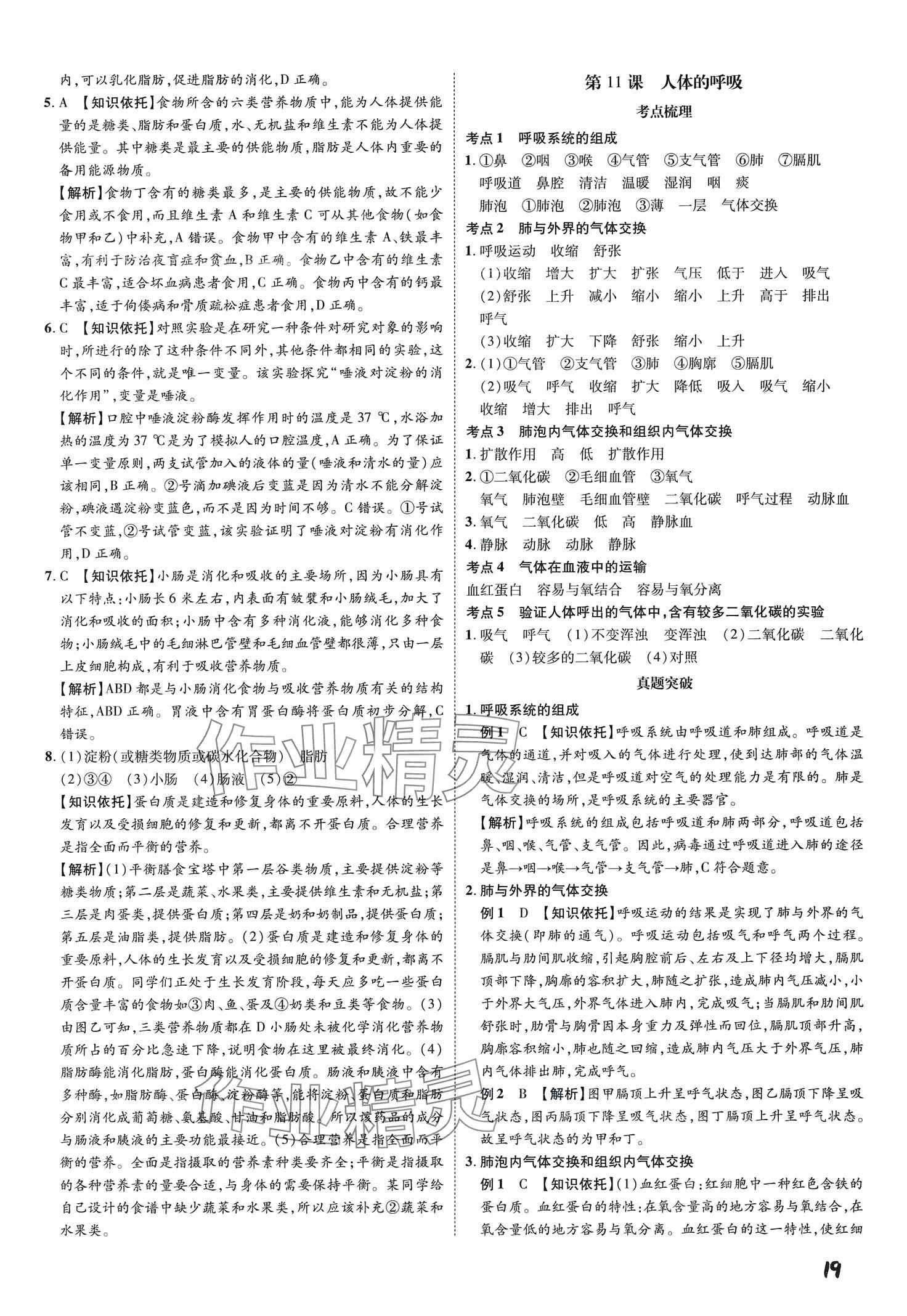 2024年一步名校中考总复习生物&nbsp;第19页