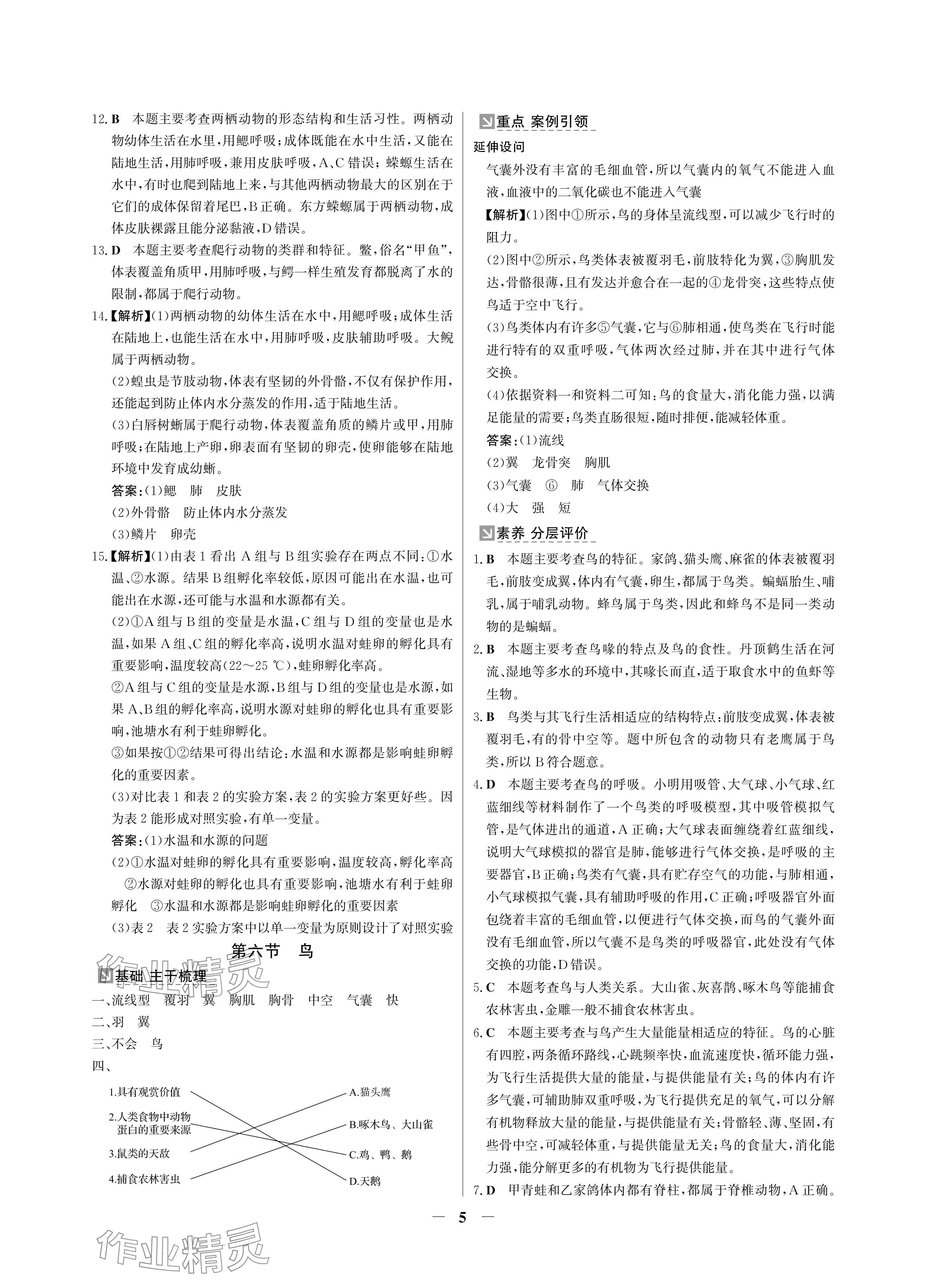 2024年南方新課堂金牌學(xué)案八年級生物上冊人教版深圳專版 參考答案第5頁