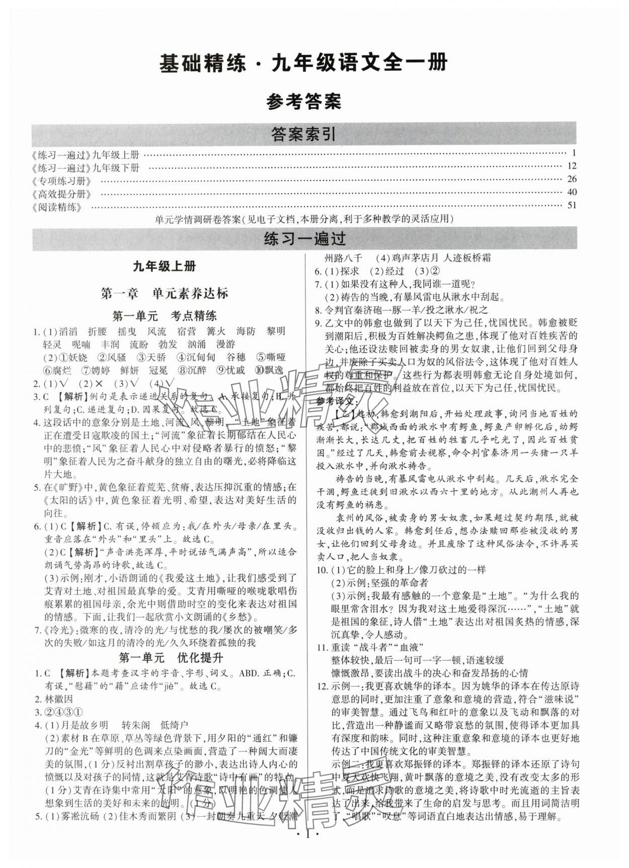 2025年基础精练九年级语文全一册人教版深圳专版 第1页