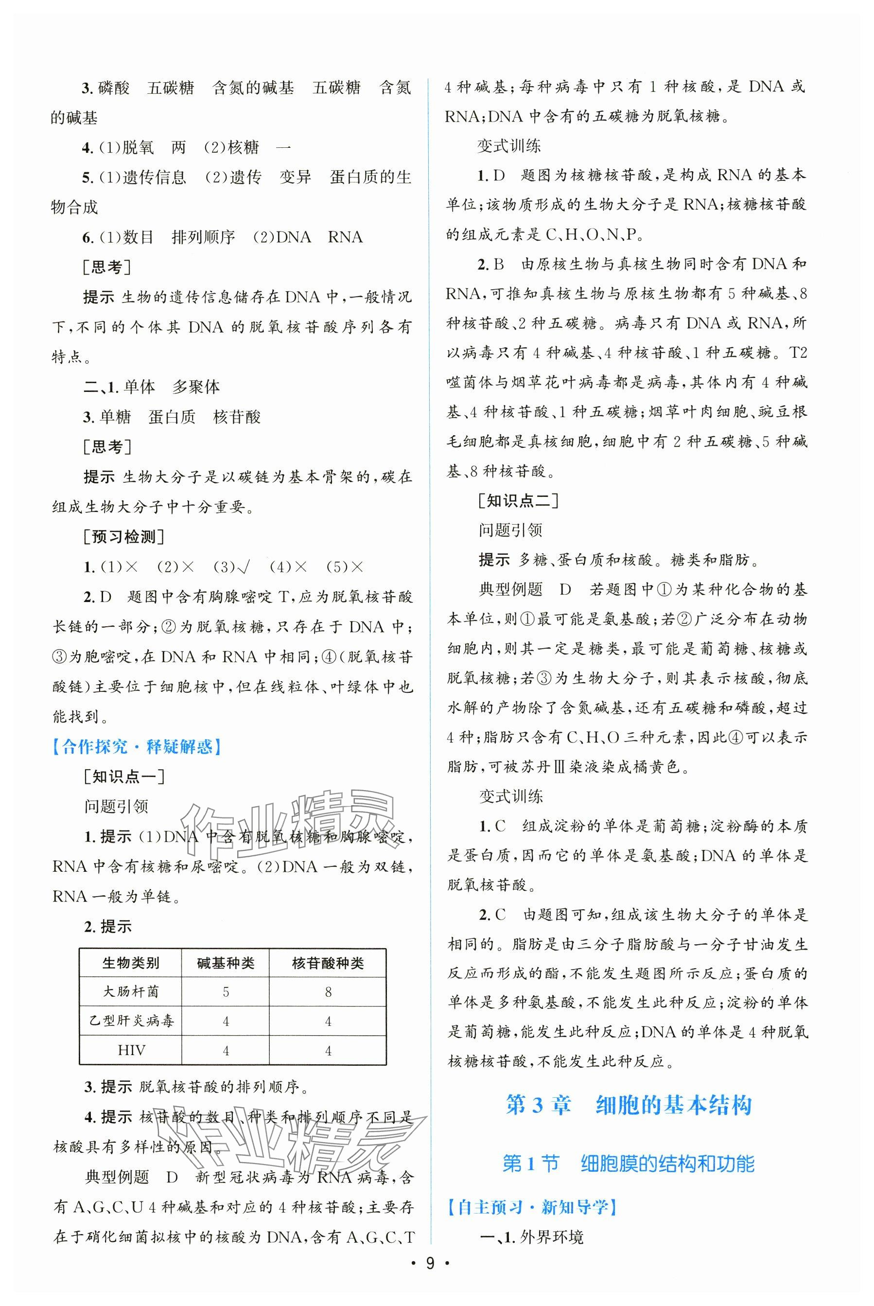 2024年高中同步測控優(yōu)化設計（分子與細胞）高中生物必修1全冊人教版 參考答案第8頁