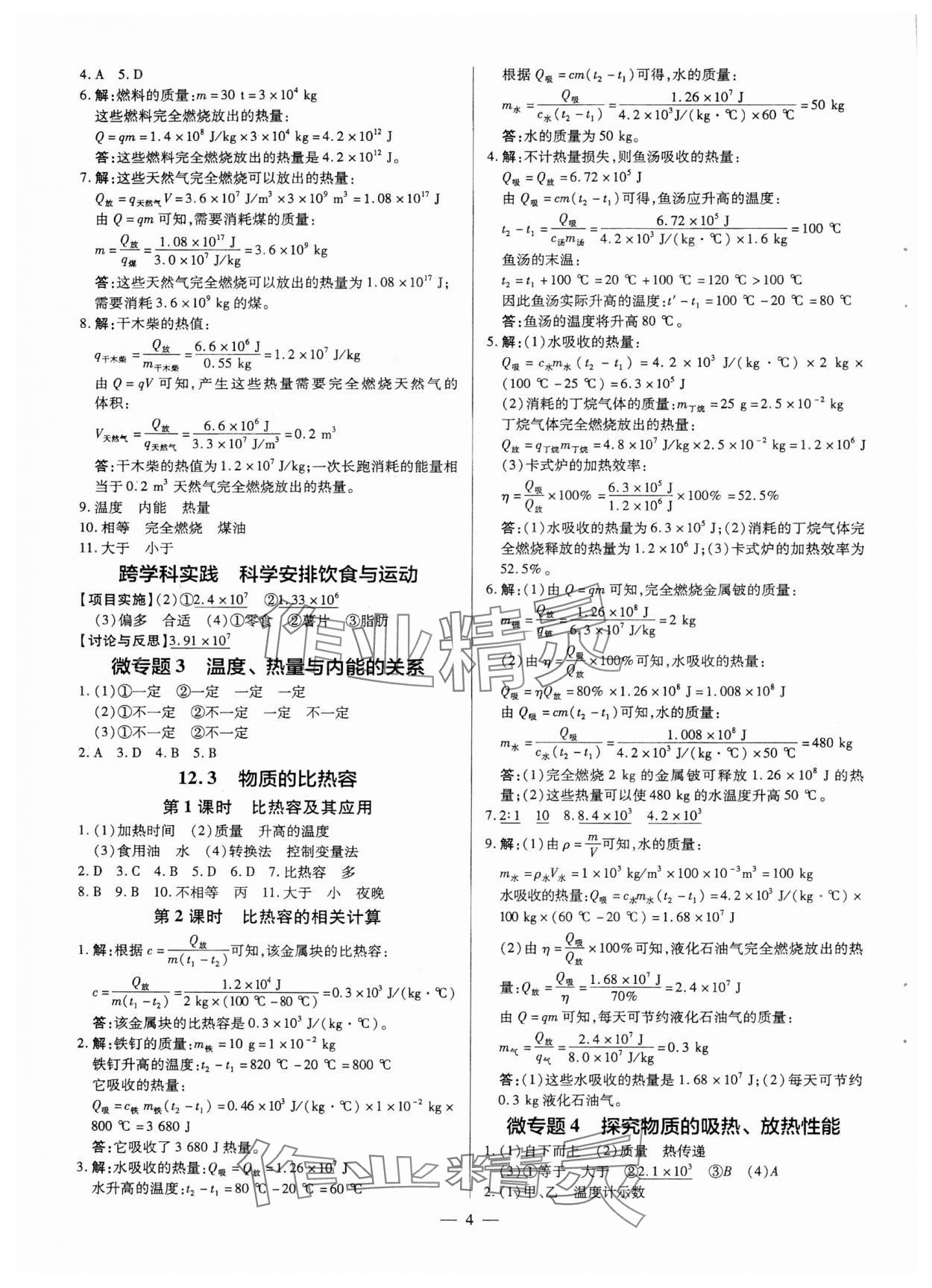 2025年領(lǐng)跑作業(yè)本九年級物理全一冊滬粵版 第4頁
