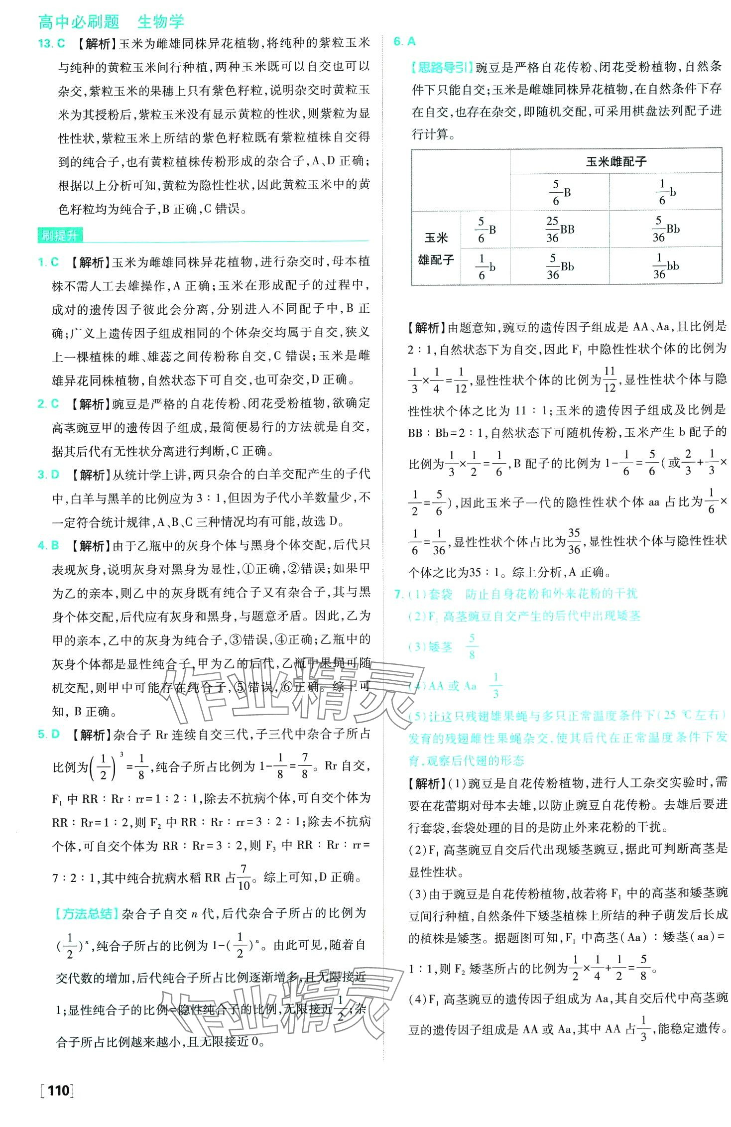 2024年高中必刷題高中生物必修2人教版 第5頁