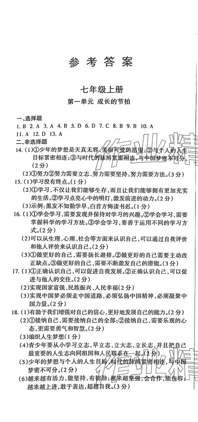 2024年動車組中考總復(fù)習(xí)道德與法治 第1頁