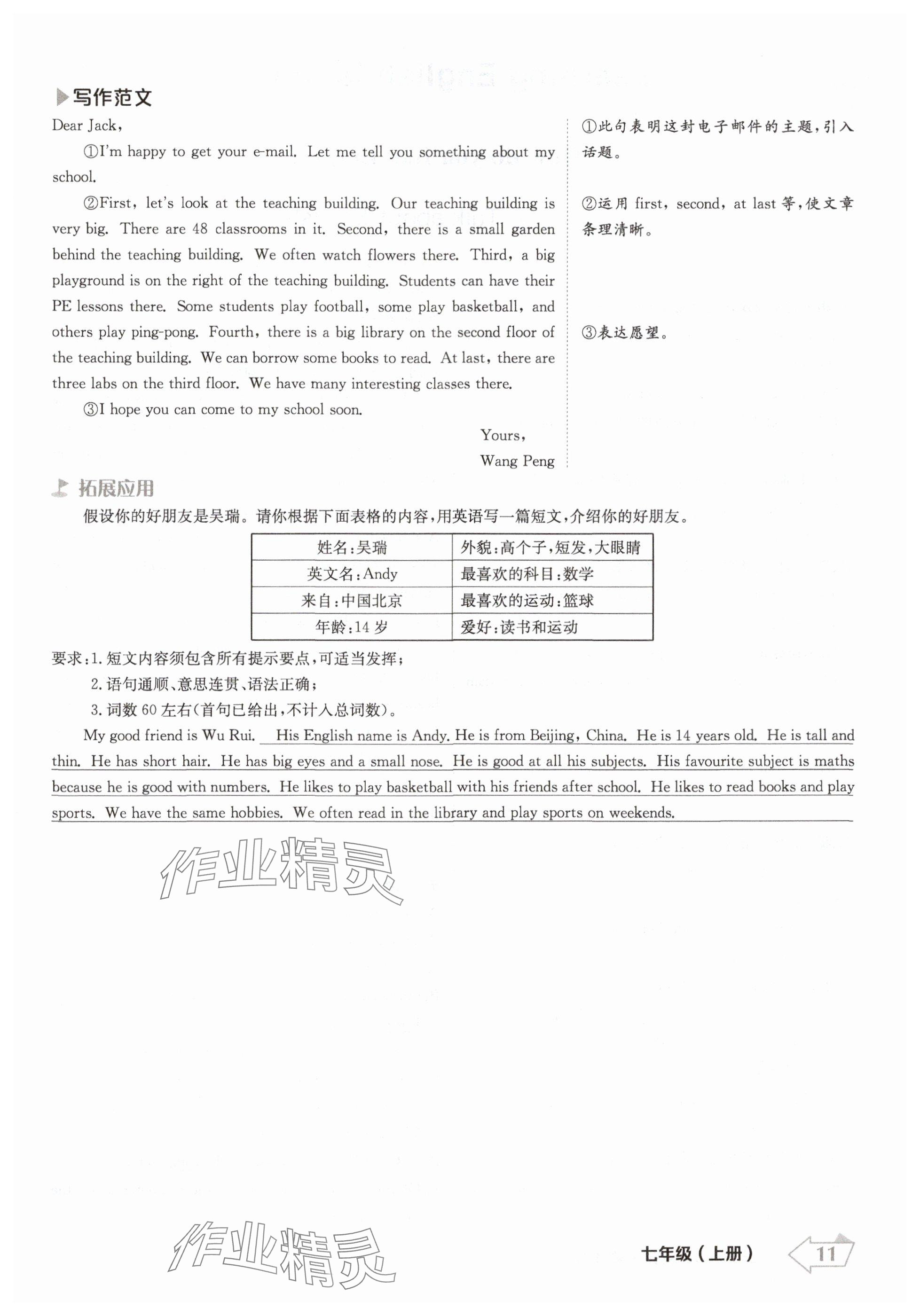 2024年金牌學練測七年級英語上冊冀教版 參考答案第11頁