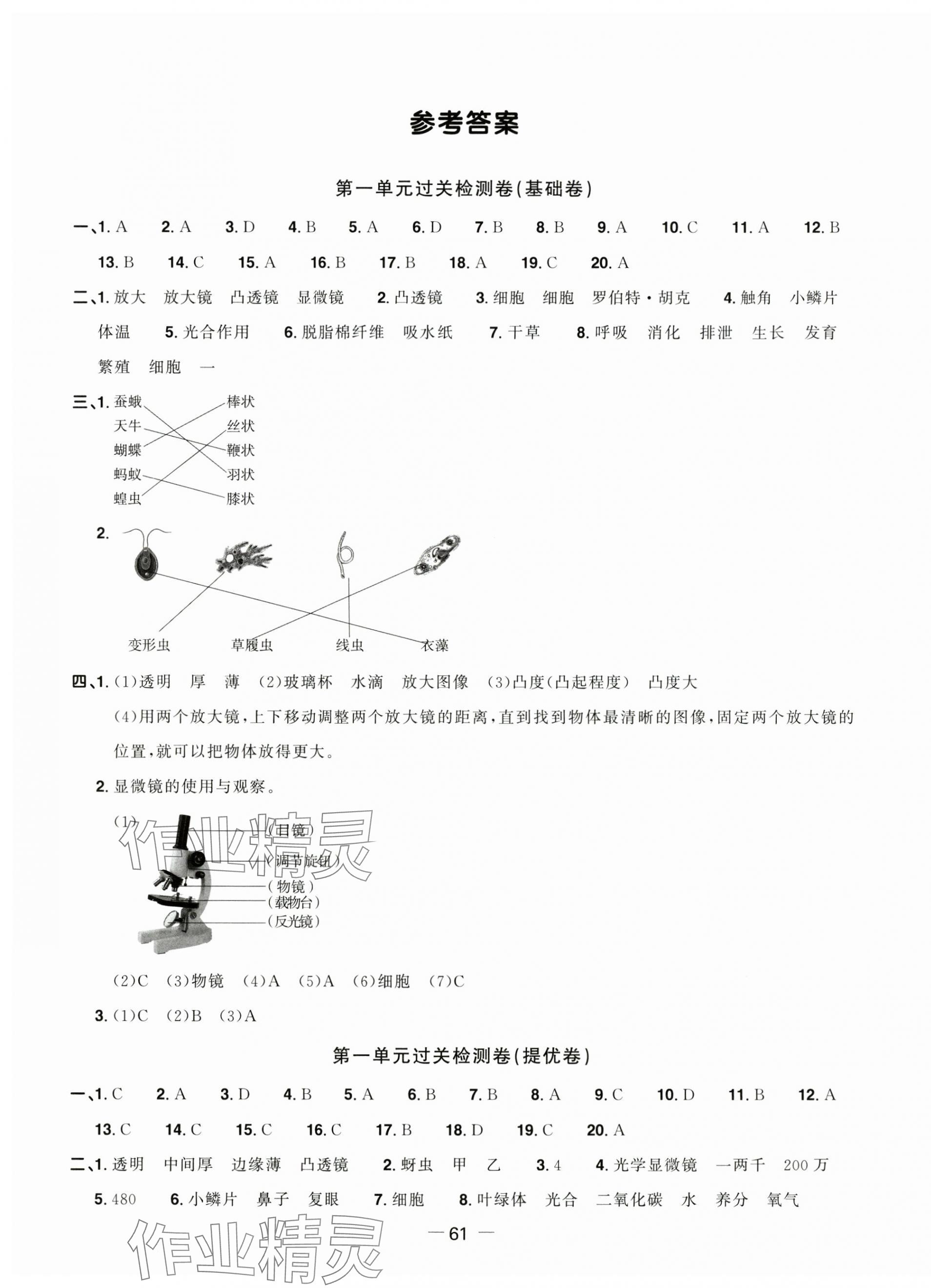 2025年陽光同學(xué)一線名師全優(yōu)好卷六年級科學(xué)上冊教科版 第1頁