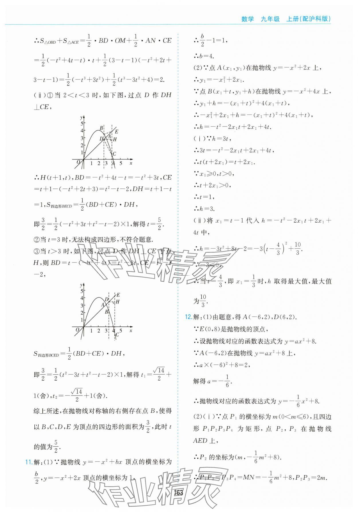 2025年新编基础训练黄山书社九年级数学上册沪科版&nbsp;第13页