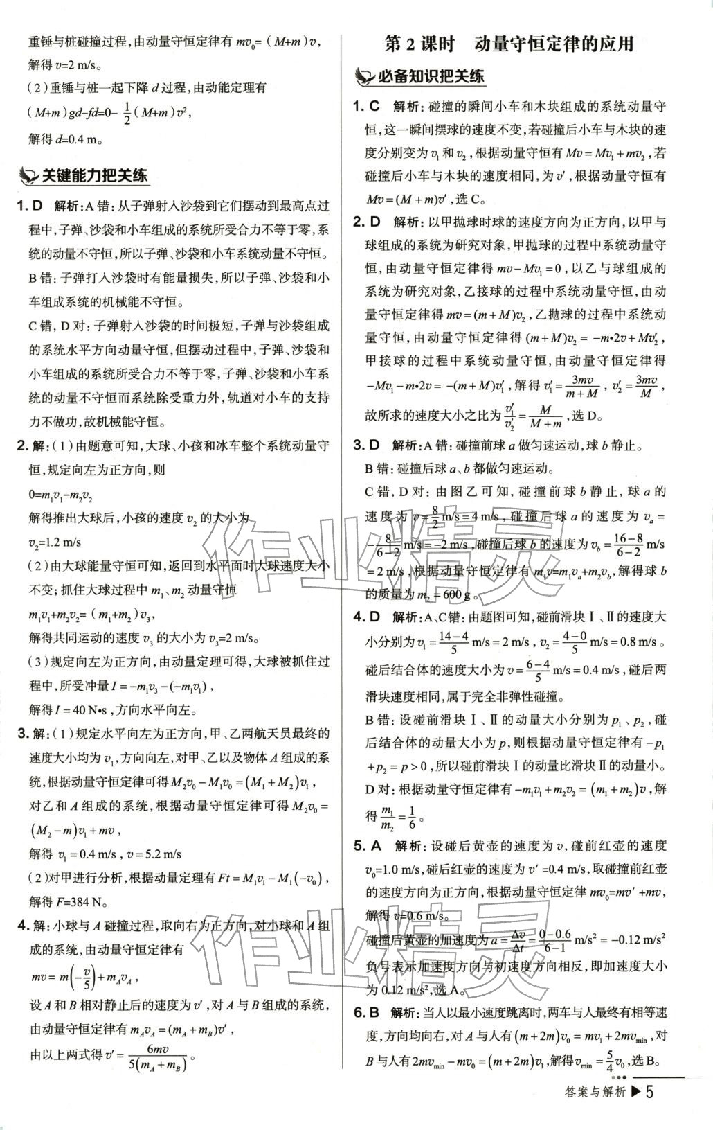 2025年把关题高中物理选择性必修第一册人教版 第5页