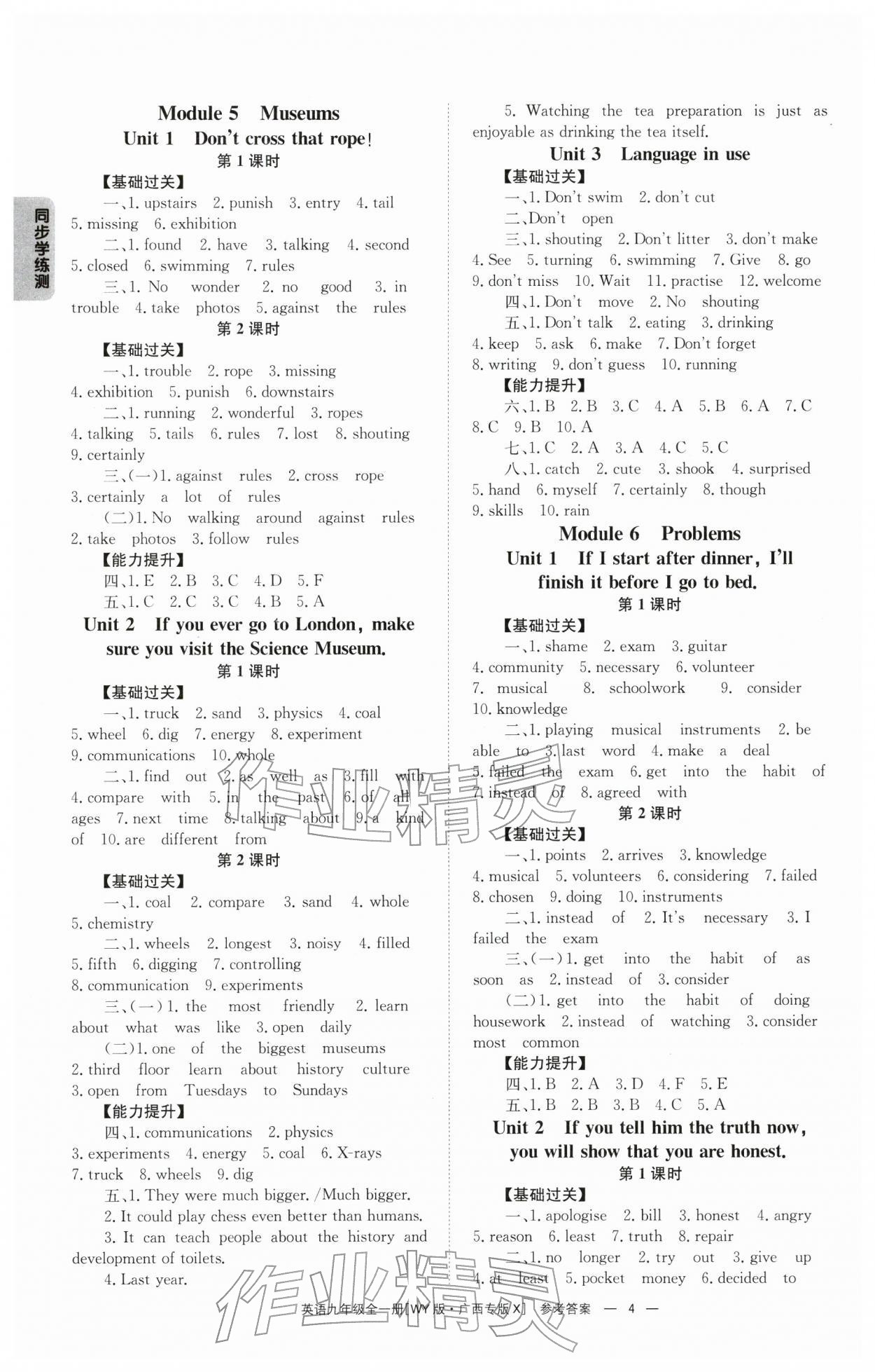 2025年全效學習同步學練測九年級英語全一冊外研版廣西專版 第4頁