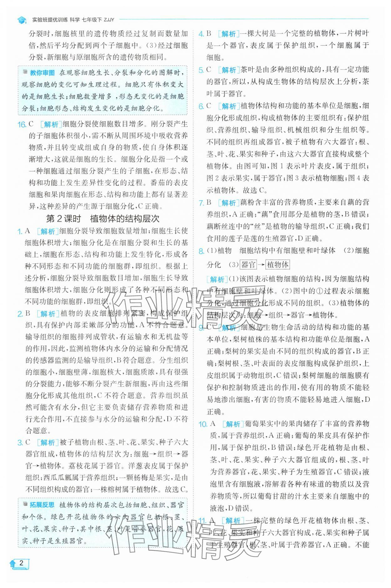 2025年實驗班提優訓練七年級科學下冊浙教版 第2頁