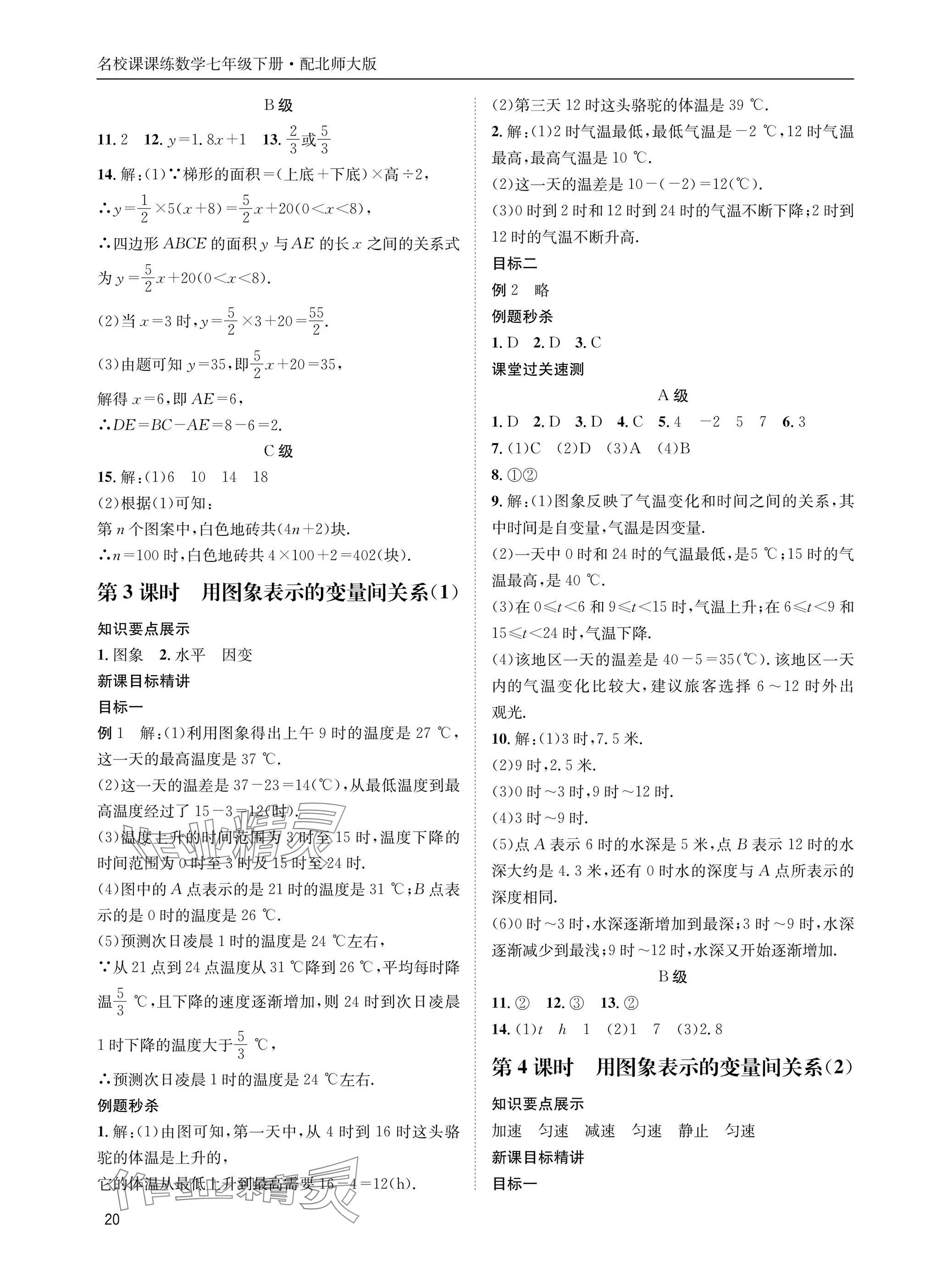 2025年名校課課練七年級數學下冊北師大版 參考答案第20頁