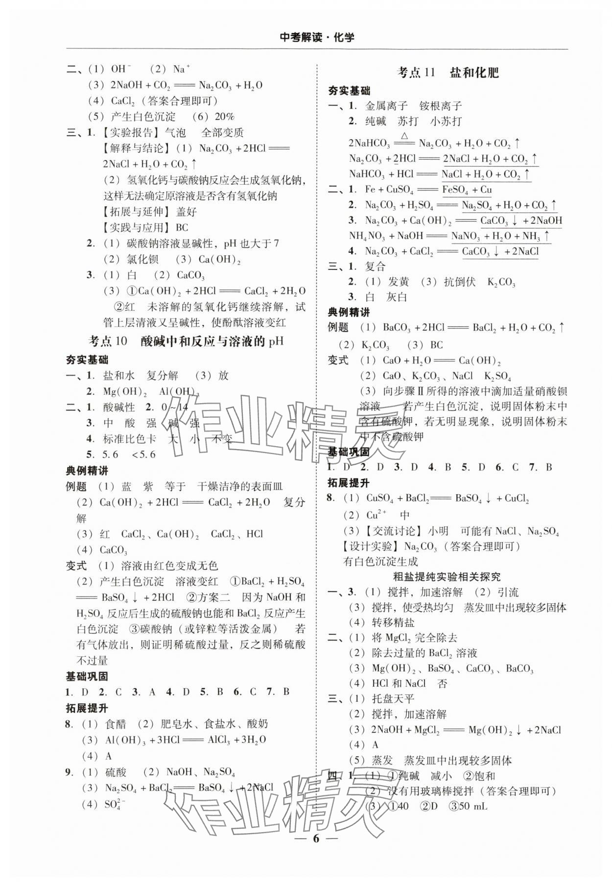 2024年南粵學典中考解讀化學 第6頁