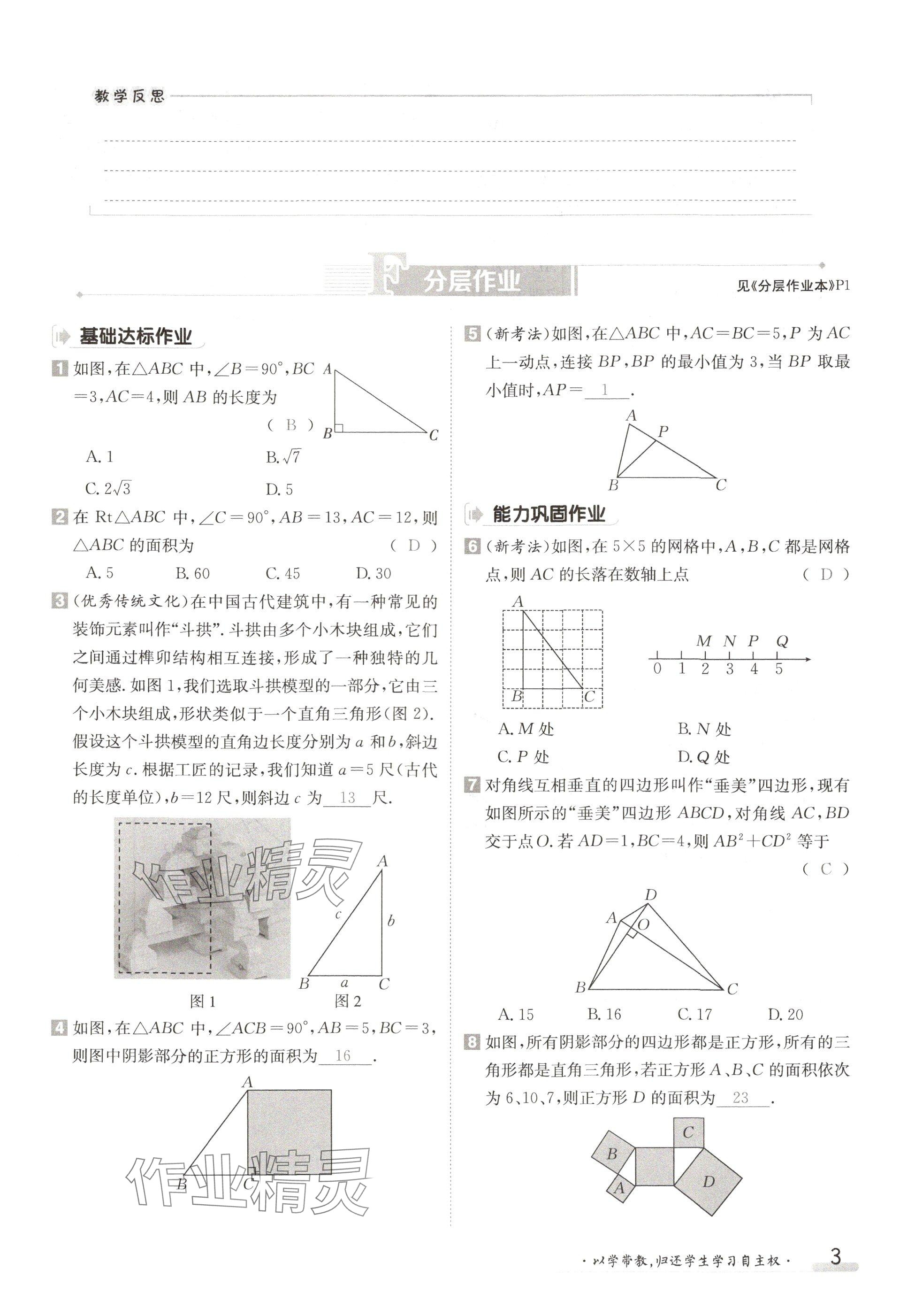 2024年金太阳导学案八年级数学上册北师大版 参考答案第3页