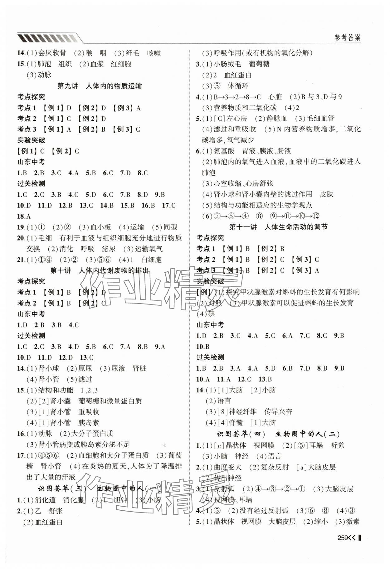 2025年初中總復(fù)習(xí)手冊山東人民出版社生物濟南版 第3頁