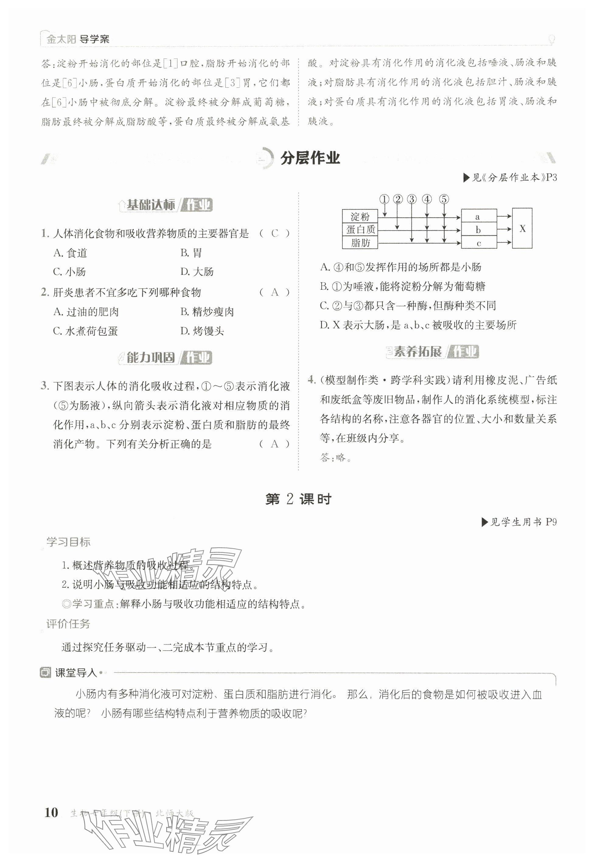 2025年金太陽導(dǎo)學(xué)案七年級生物下冊北師大版 參考答案第8頁