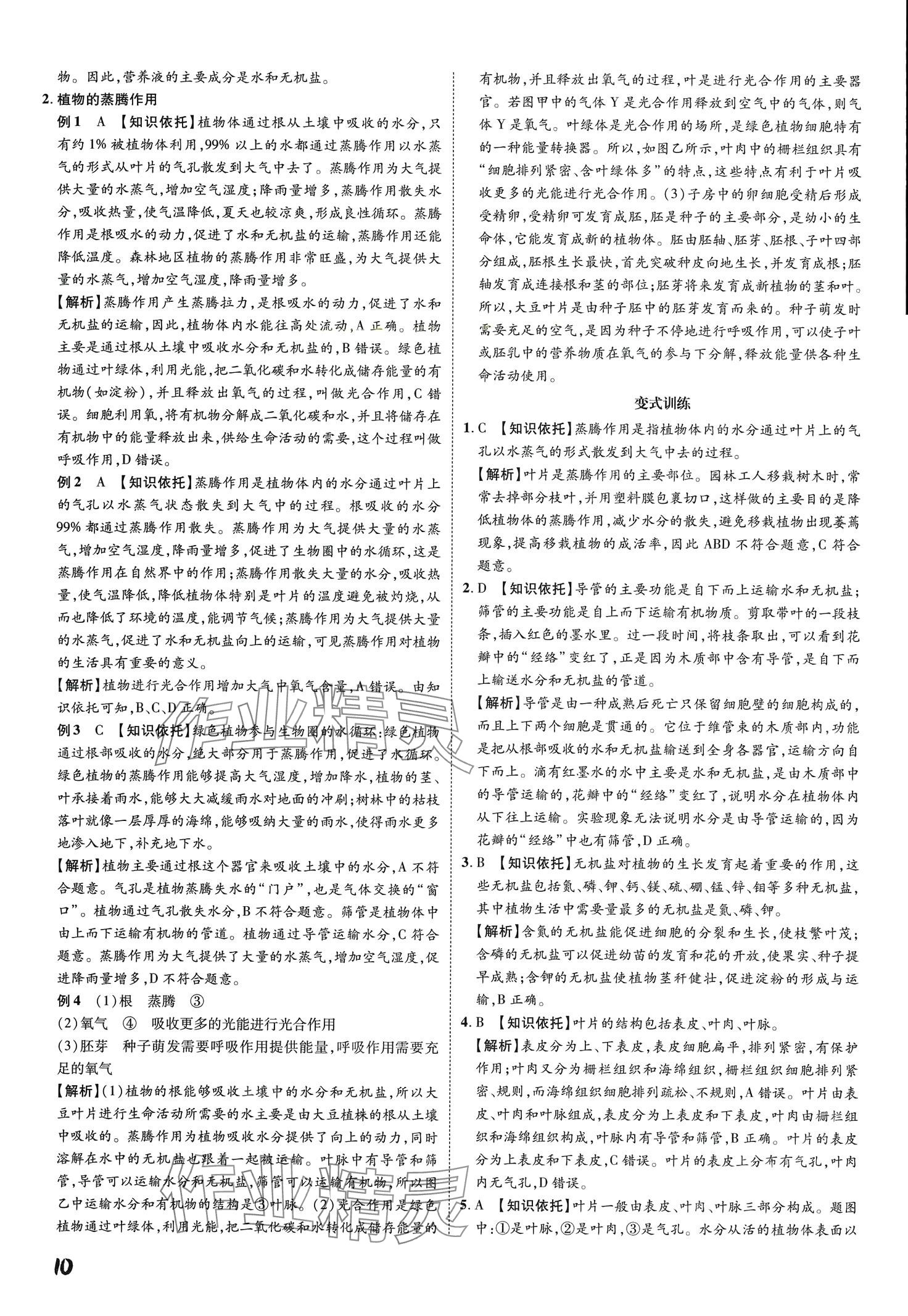 2024年一步名校中考总复习生物&nbsp;第10页