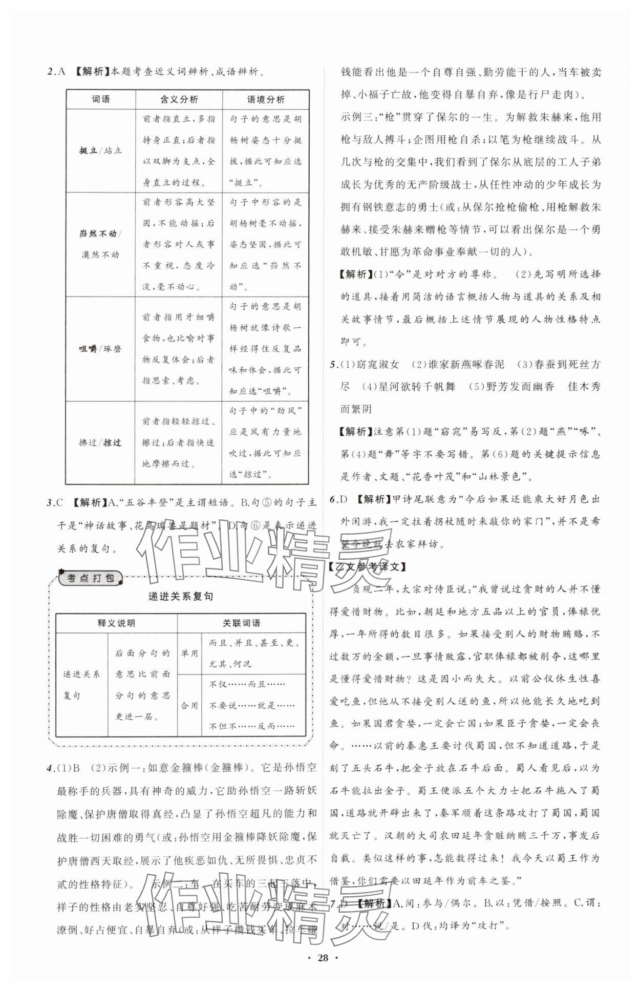 2025年中考必備遼寧師范大學(xué)出版社語文遼寧專版 參考答案第28頁