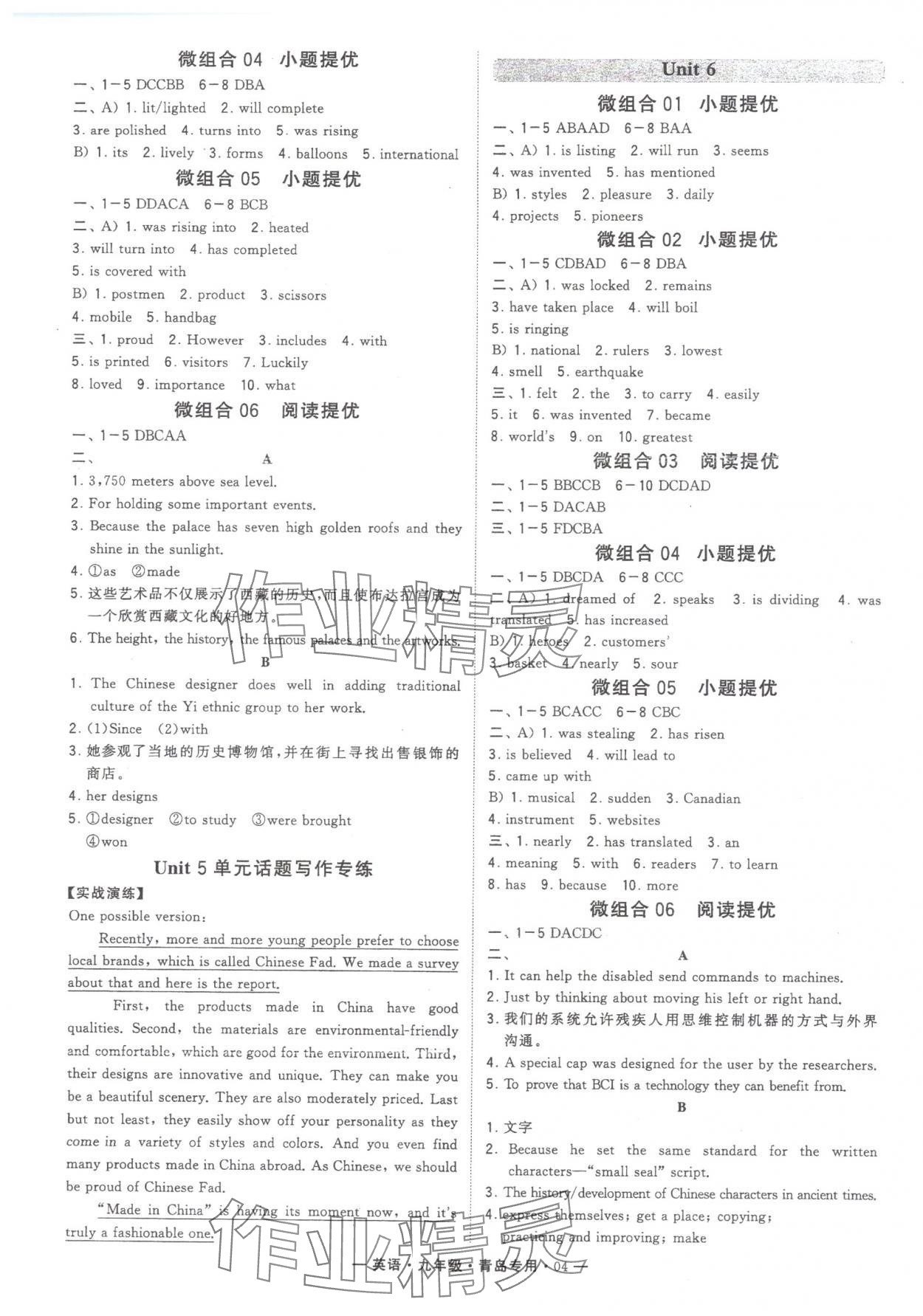 2024年學(xué)霸組合訓(xùn)練九年級英語全一冊人教版青島專版 第4頁