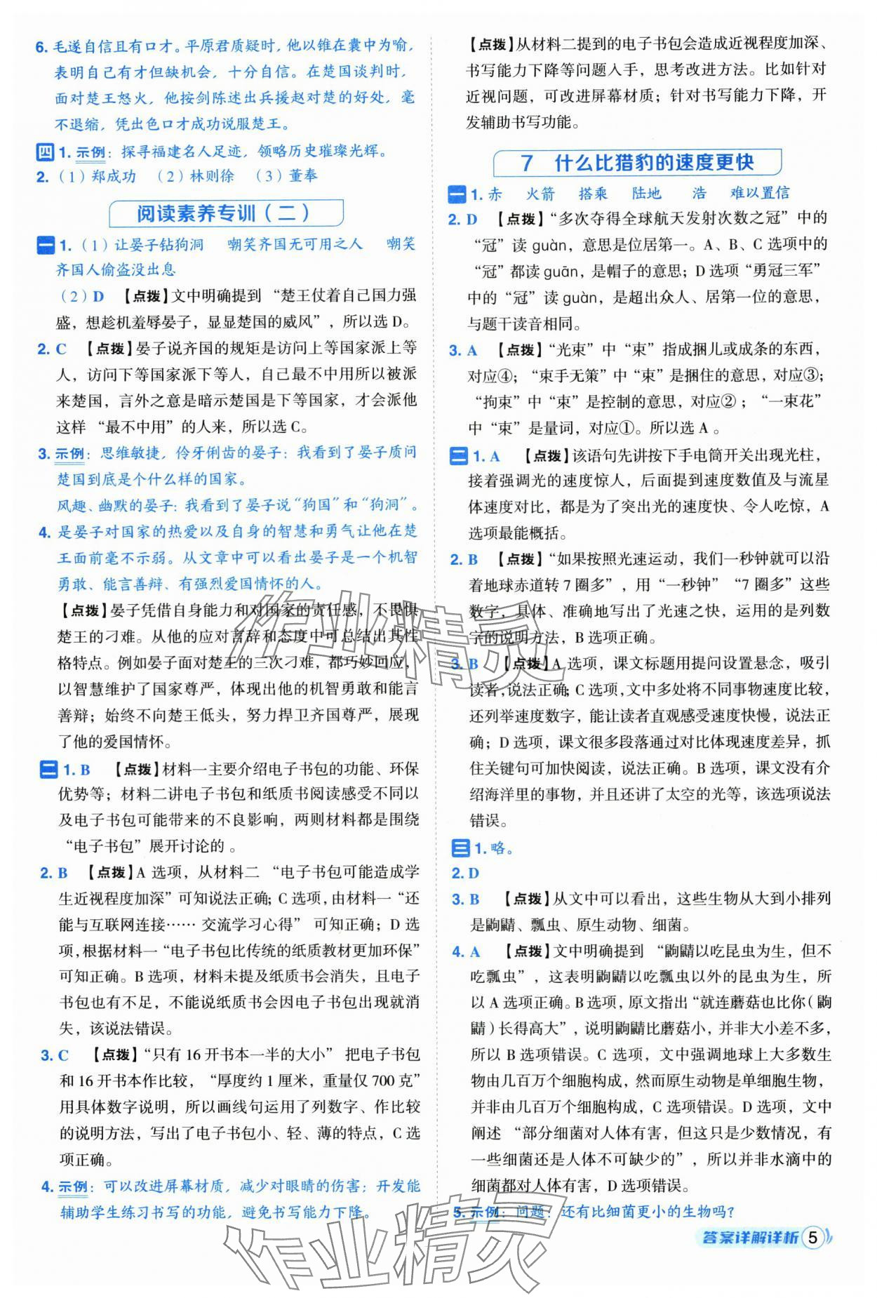 2025年综合应用创新题典中点五年级语文上册人教版福建专版 参考答案第5页