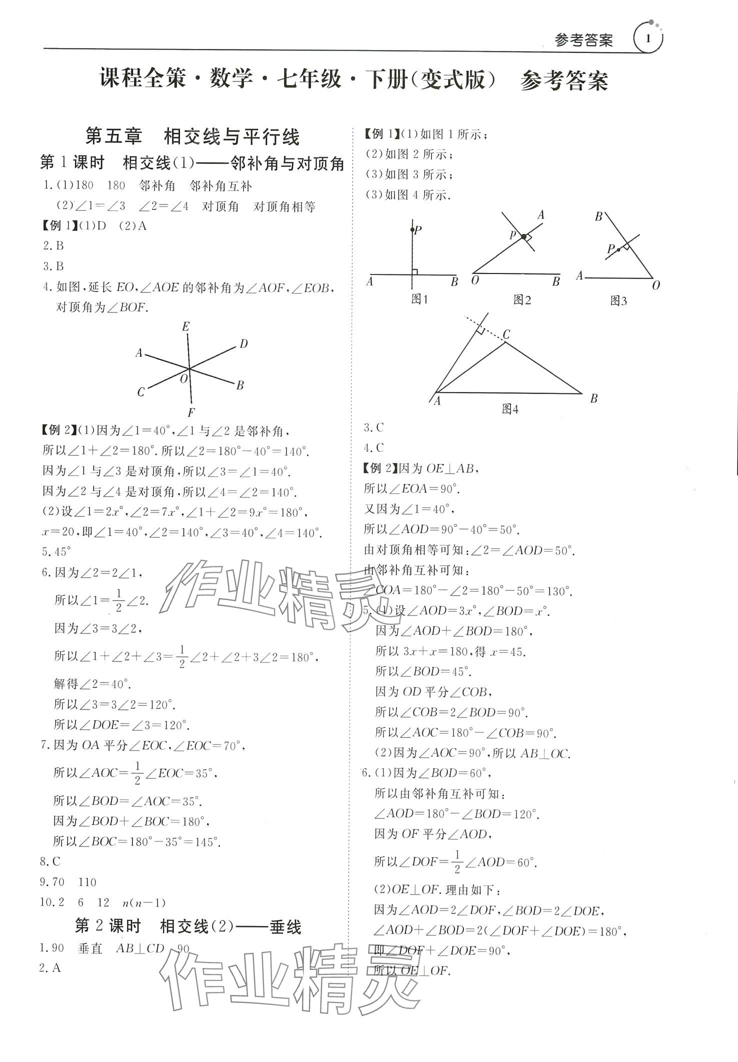 2024年課程全策七年級數學下冊人教版 第1頁