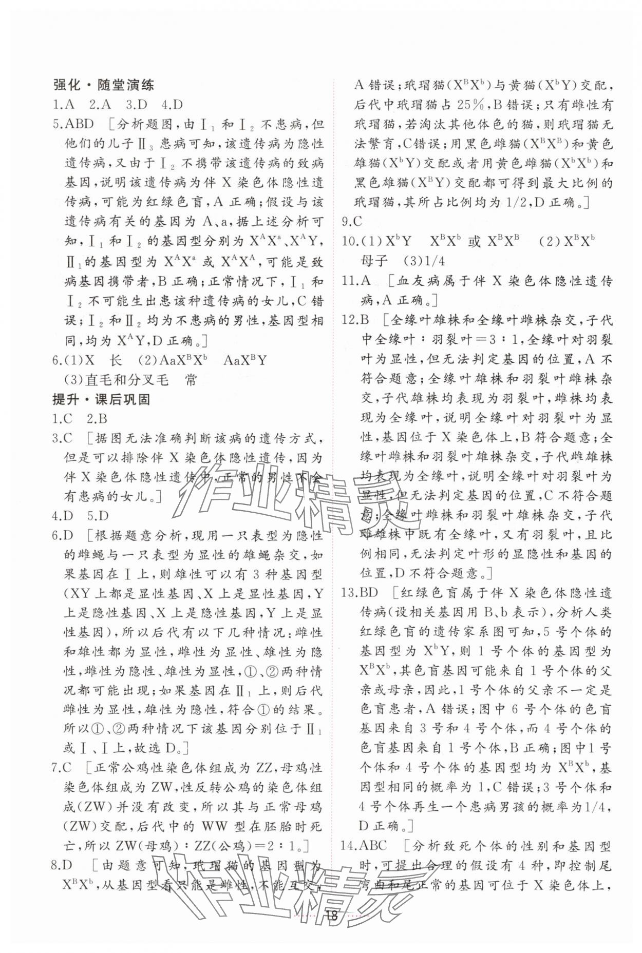 2025年三維隨堂精練高中生物必修2人教版 第18頁