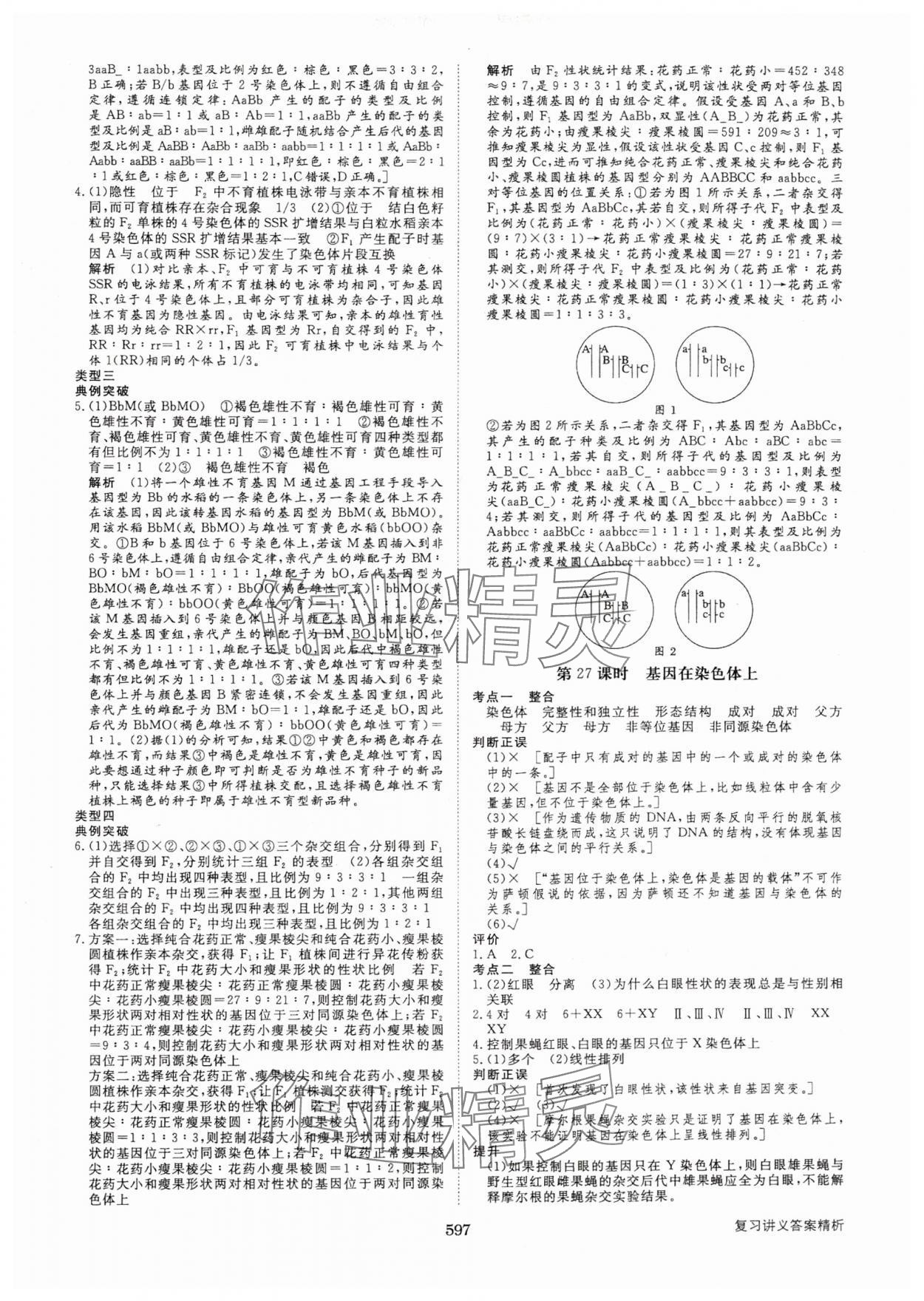 2025年步步高大一輪復(fù)習(xí)講義生物人教版 第21頁(yè)