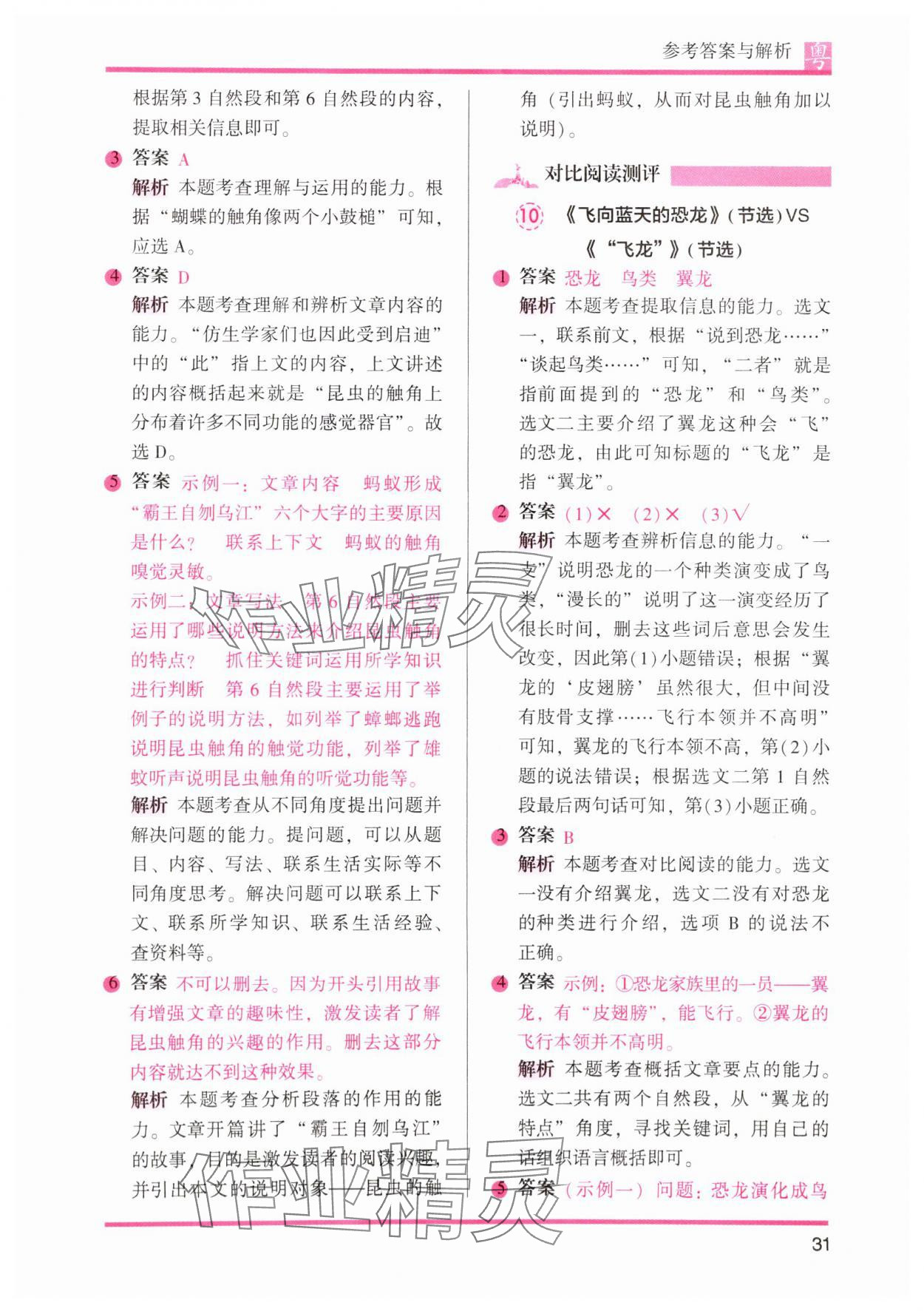 2025年木頭馬閱讀力測(cè)評(píng)四年級(jí)語(yǔ)文下冊(cè)人教版B版廣東專(zhuān)版 第12頁(yè)
