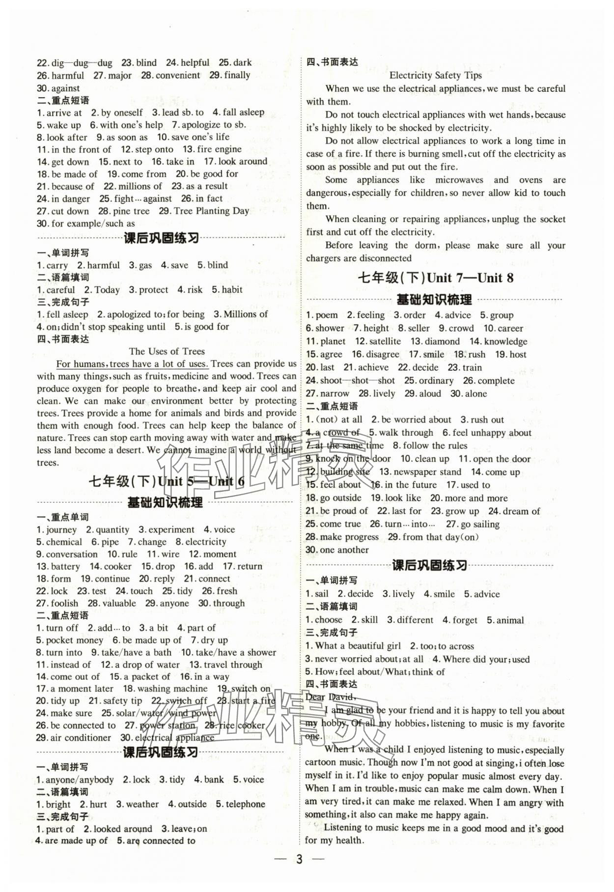 2024年中考精準(zhǔn)復(fù)習(xí)英語廣州專版&nbsp;第3頁