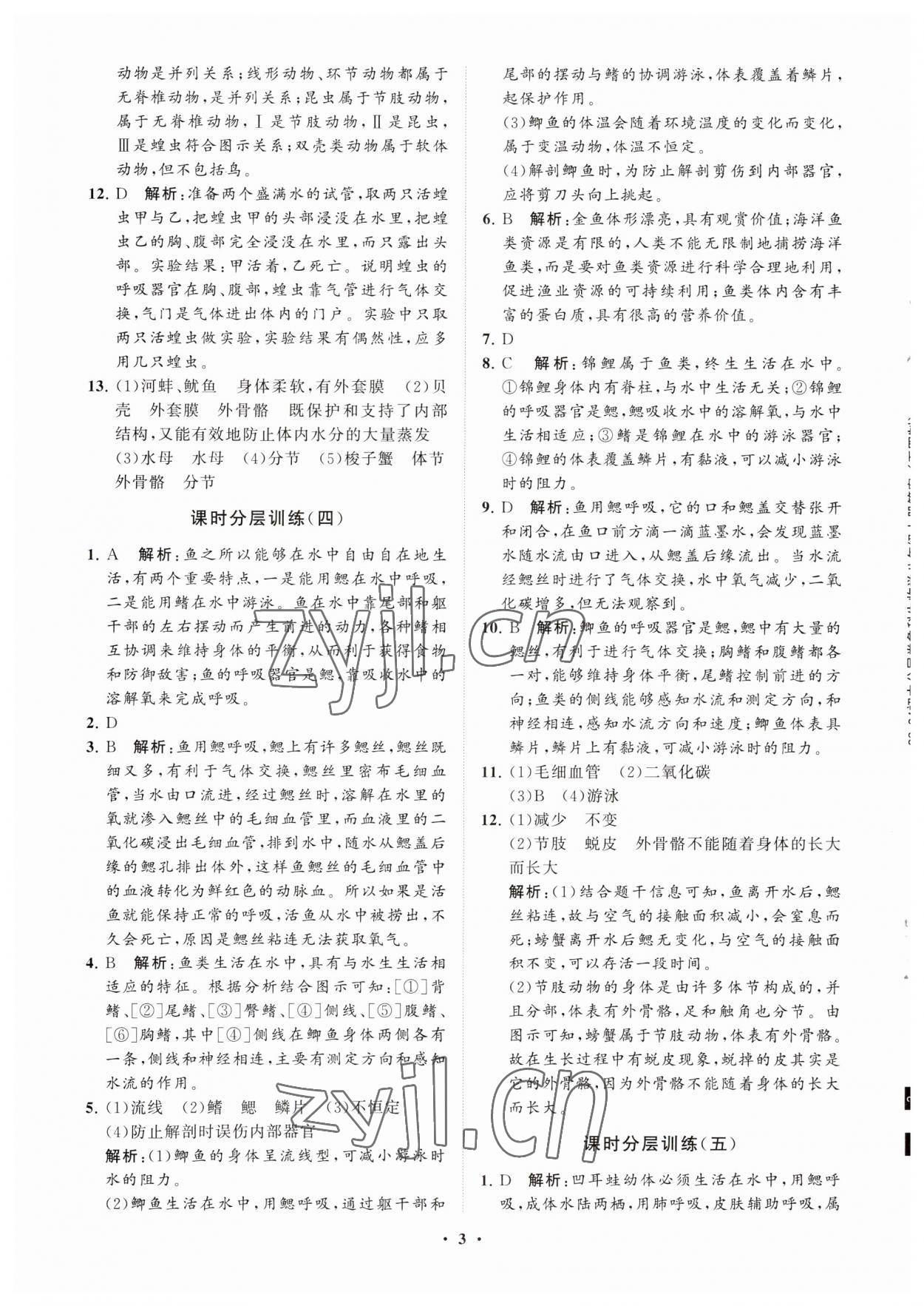 2023年初中同步练习册分层卷八年级生物学上册鲁科版五四制 参考答案第3页