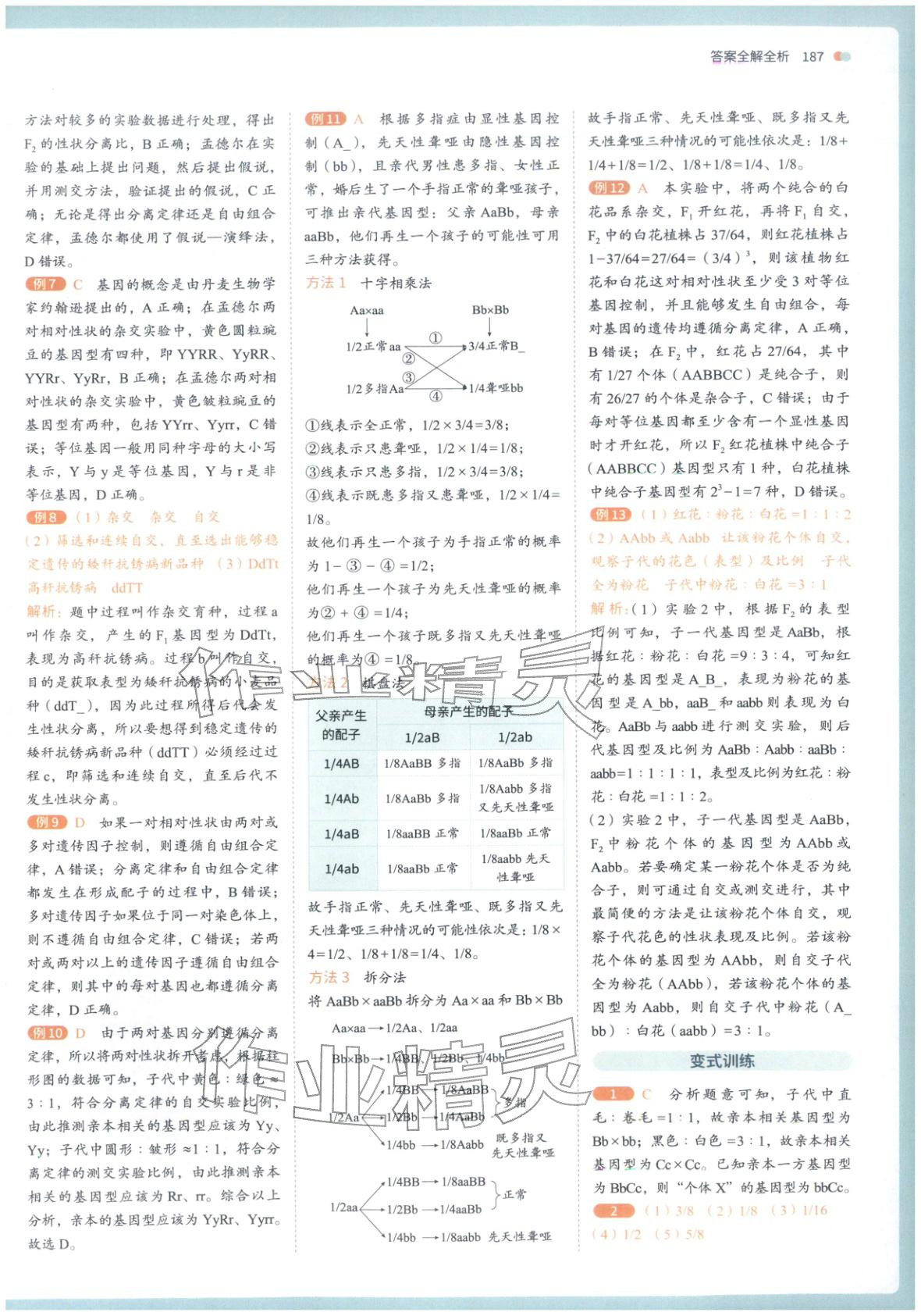 2026年从教材到考试高中生物必修第二册人教版&nbsp;第4页