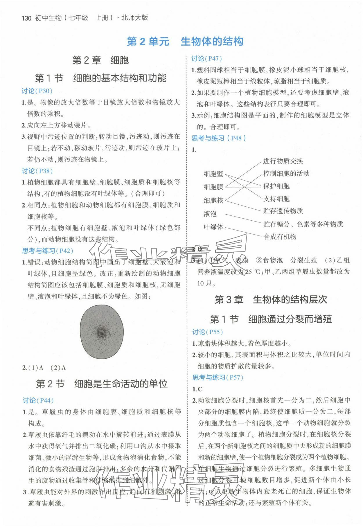 2024年教材课本七年级生物上册北师大版 参考答案第2页