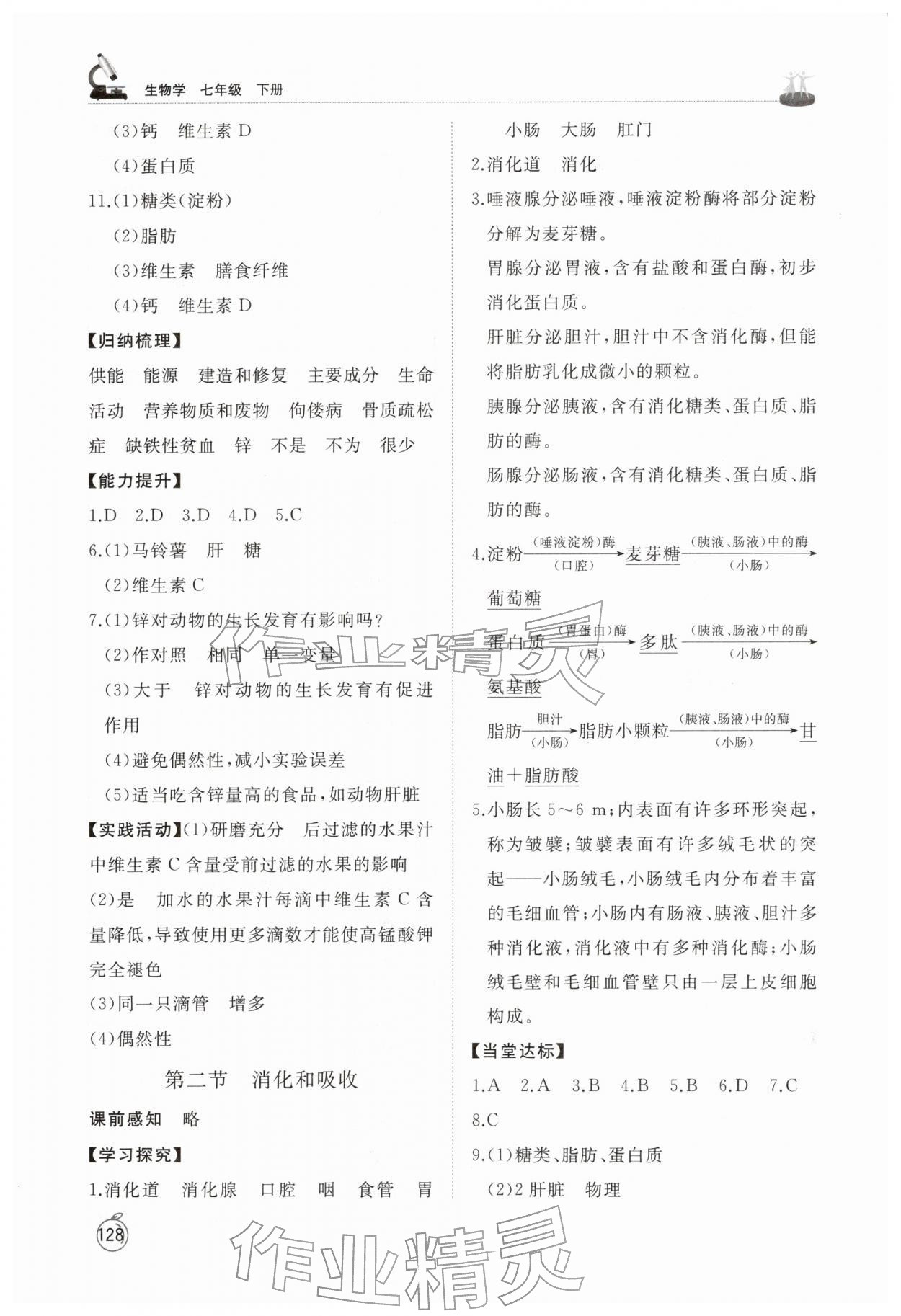 2026年同步练习册山东友谊出版社七年级生物下册鲁科版五四制&nbsp;第4页