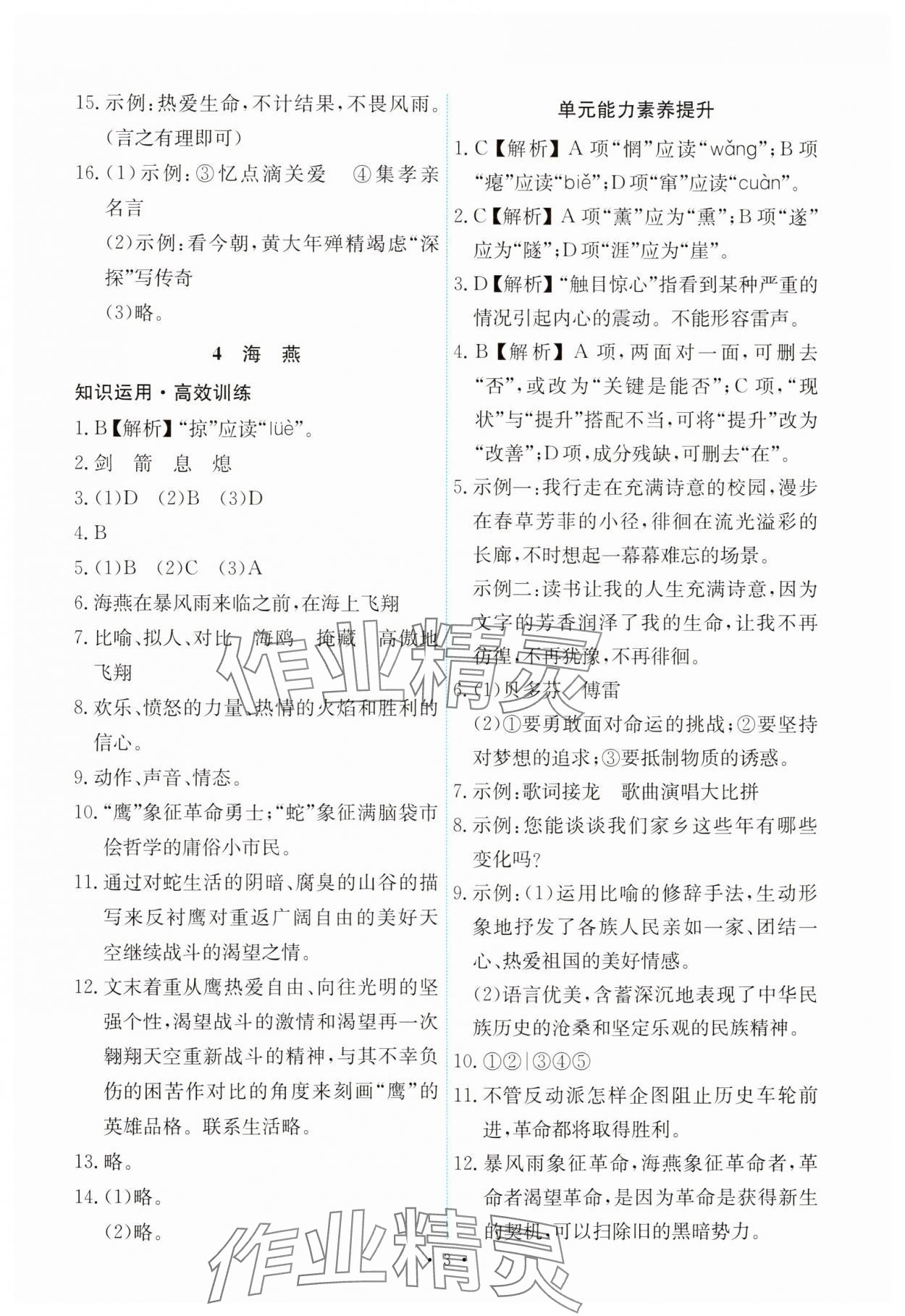 2025年能力培養(yǎng)與測(cè)試九年級(jí)語(yǔ)文下冊(cè)人教版 第3頁(yè)