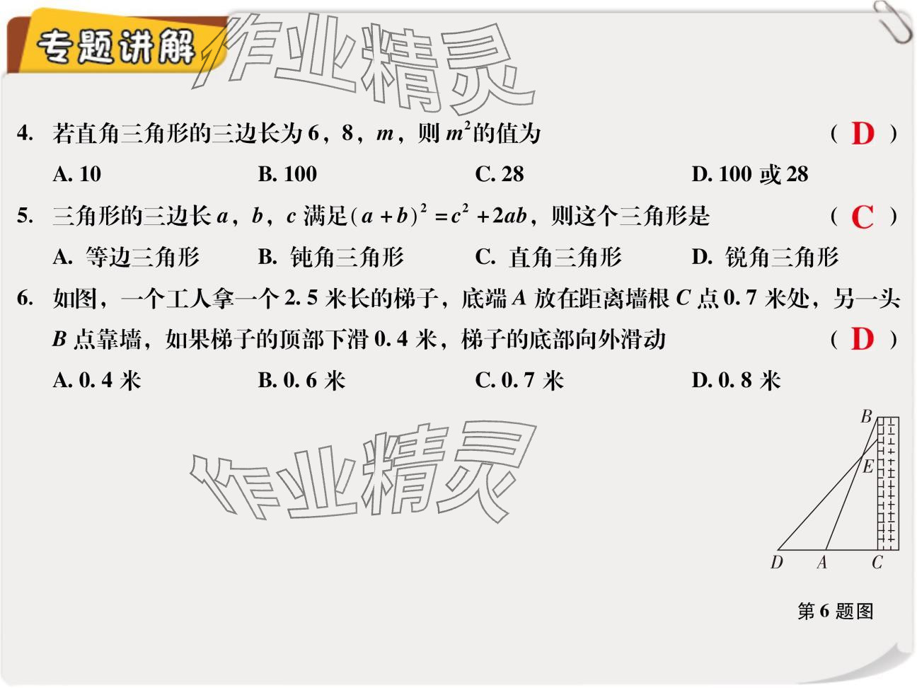 2024年復習直通車期末復習與假期作業(yè)八年級數學北師大版 參考答案第13頁