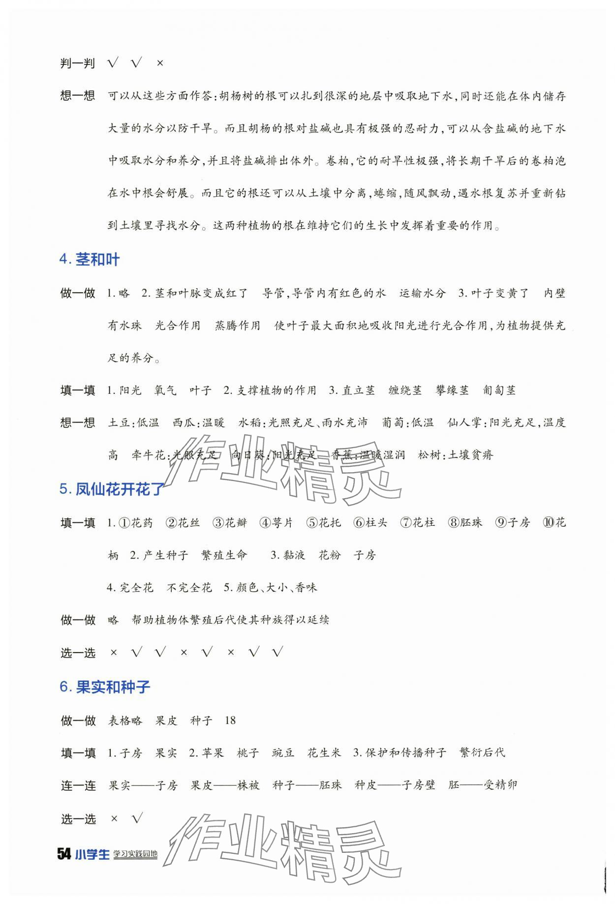 2025年學(xué)習(xí)實踐園地四年級科學(xué)下冊教科版 參考答案第2頁