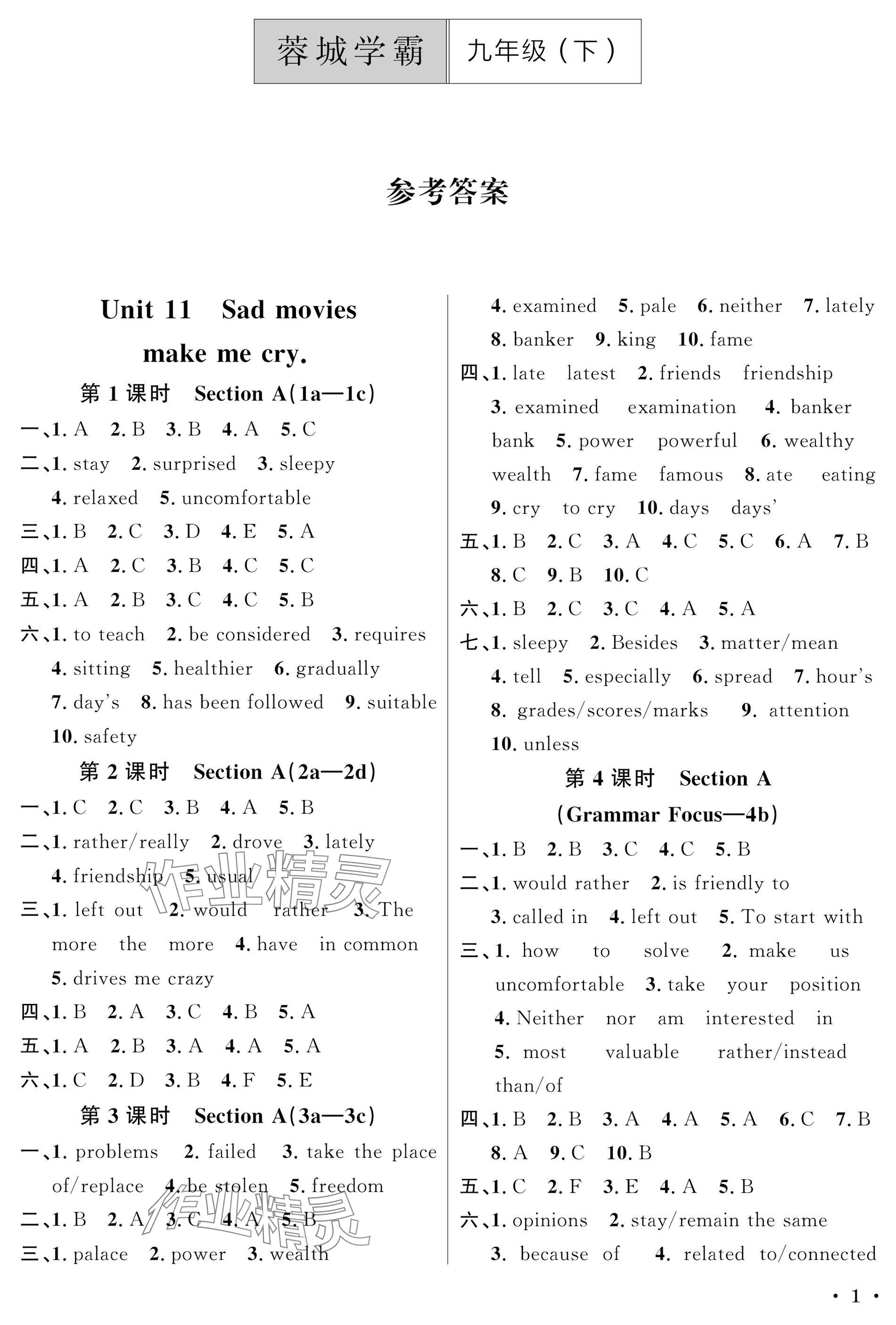 2025年蓉城學(xué)霸九年級(jí)英語(yǔ)下冊(cè)人教版 參考答案第1頁(yè)