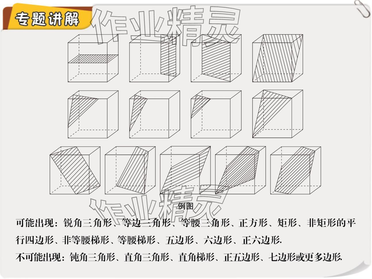 2024年复习直通车期末复习与假期作业七年级数学北师大版 参考答案第7页