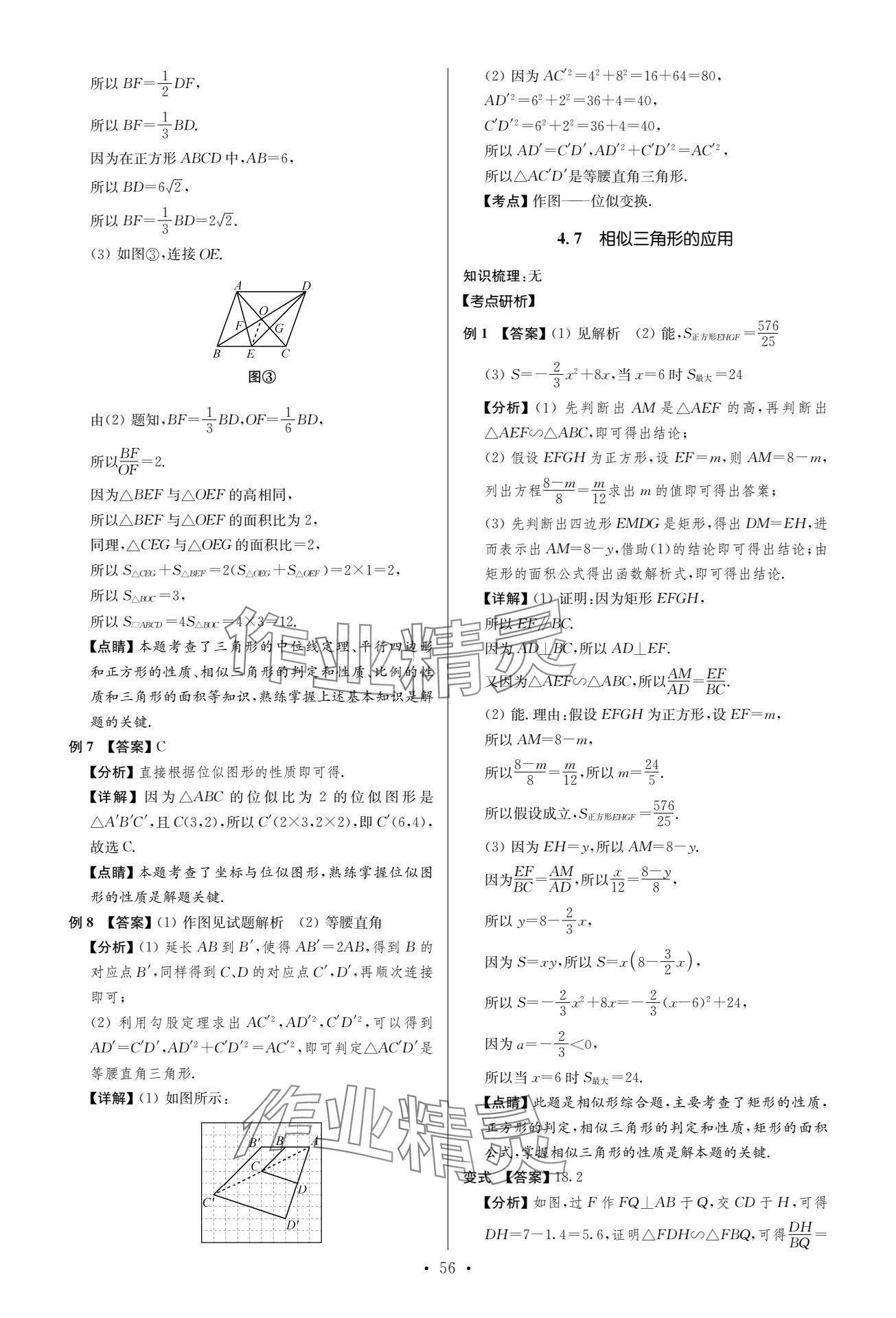 2024年中考復(fù)習(xí)奪冠寶典數(shù)學(xué)江蘇專版 參考答案第56頁(yè)