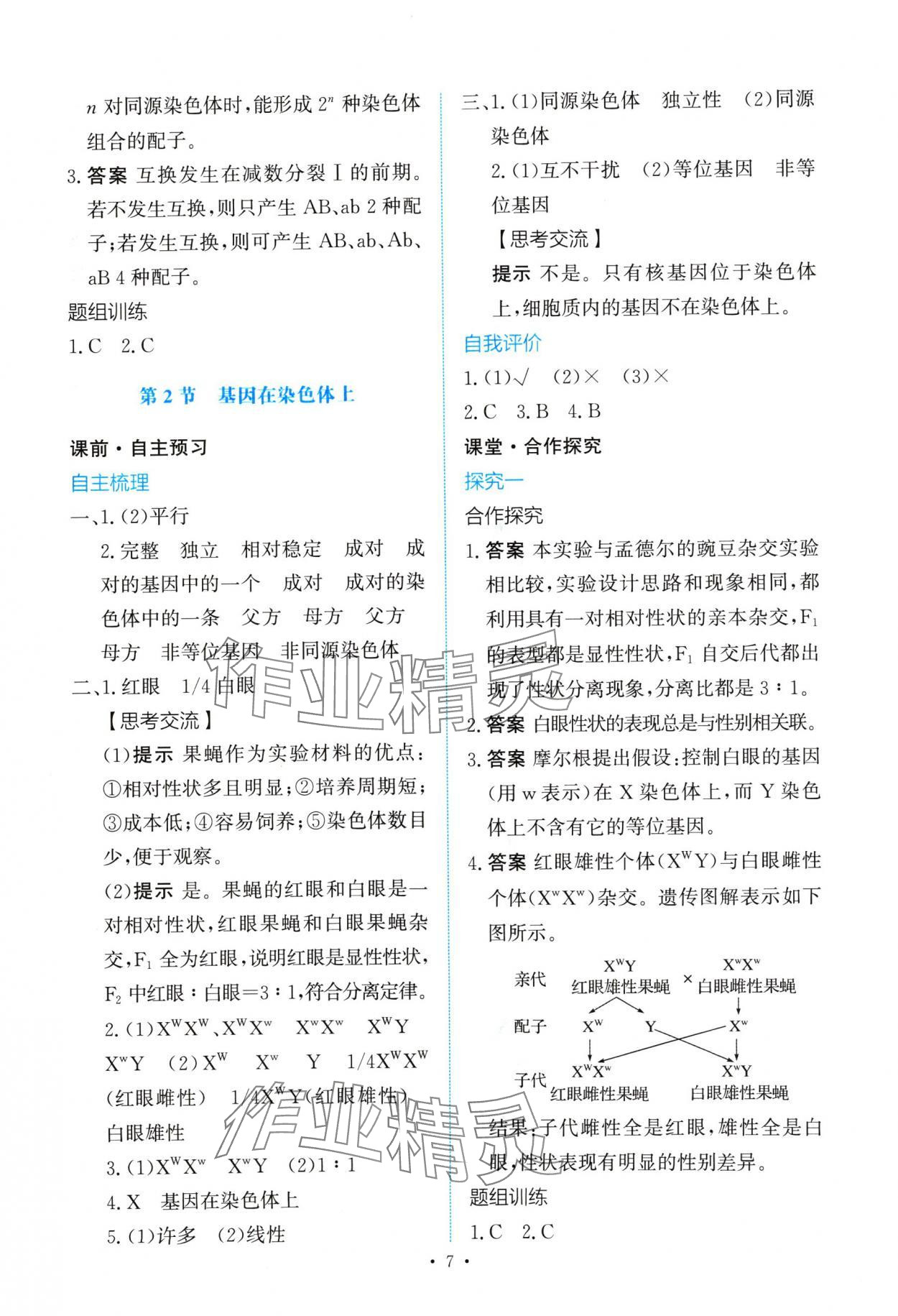 2024年能力培養(yǎng)與測(cè)試高中生物必修2人教版 參考答案第6頁(yè)