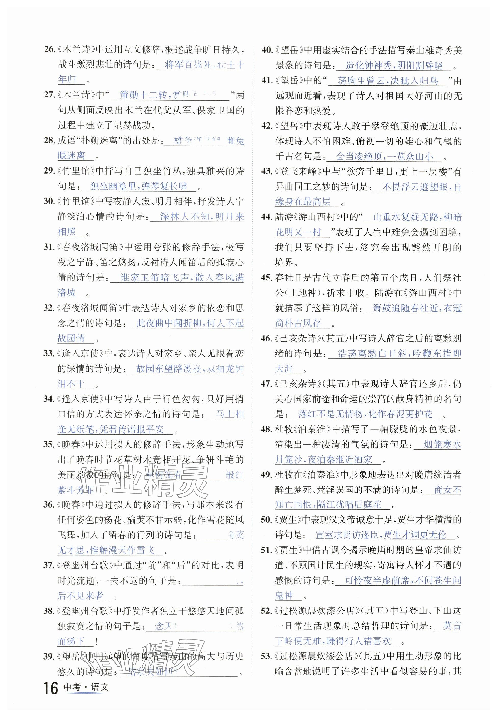 2024年國華圖書中考拐點(diǎn)語文南充專版 參考答案第16頁