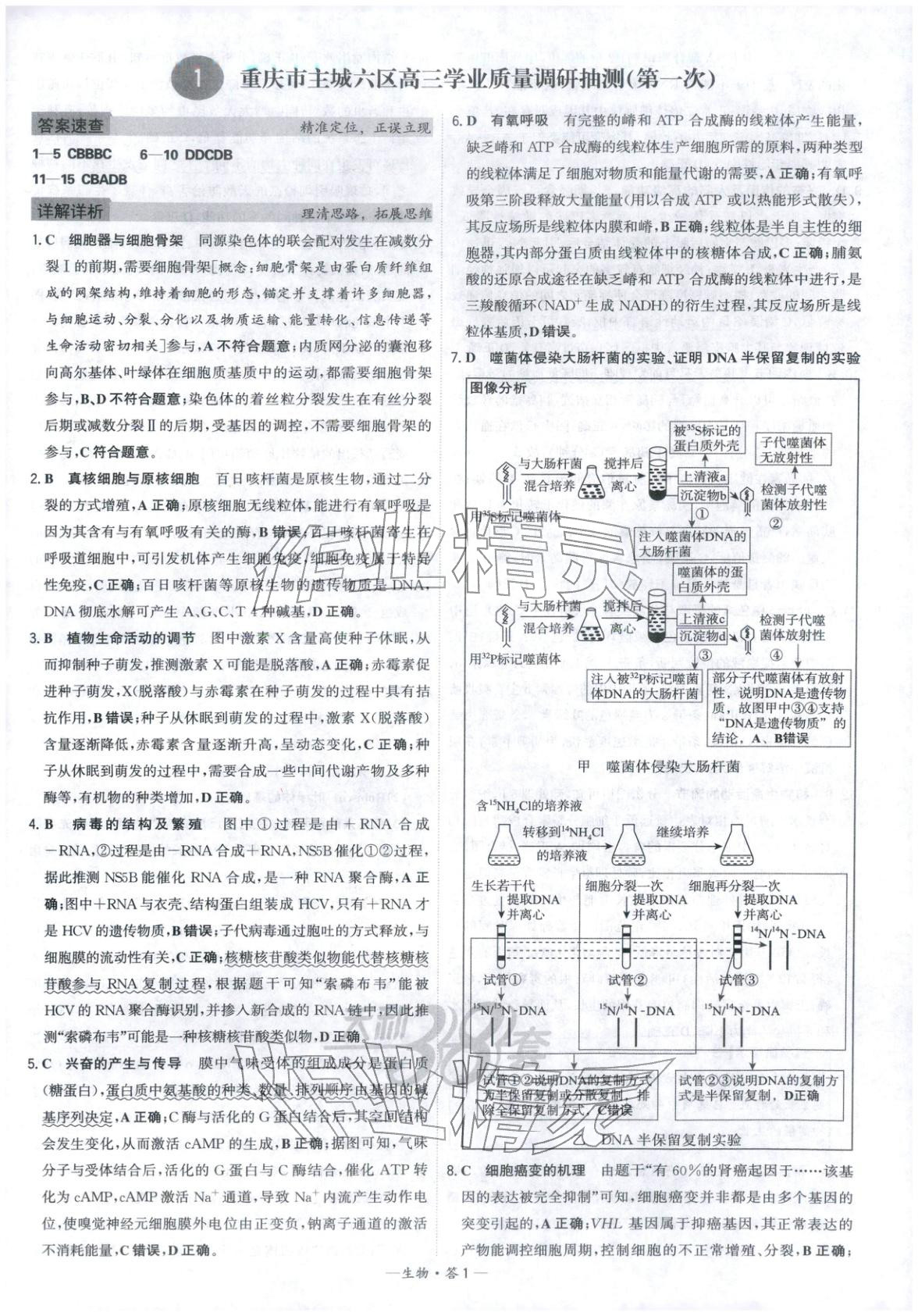 2026年高考模拟试题汇编高中生物全一册通用版&nbsp;第1页