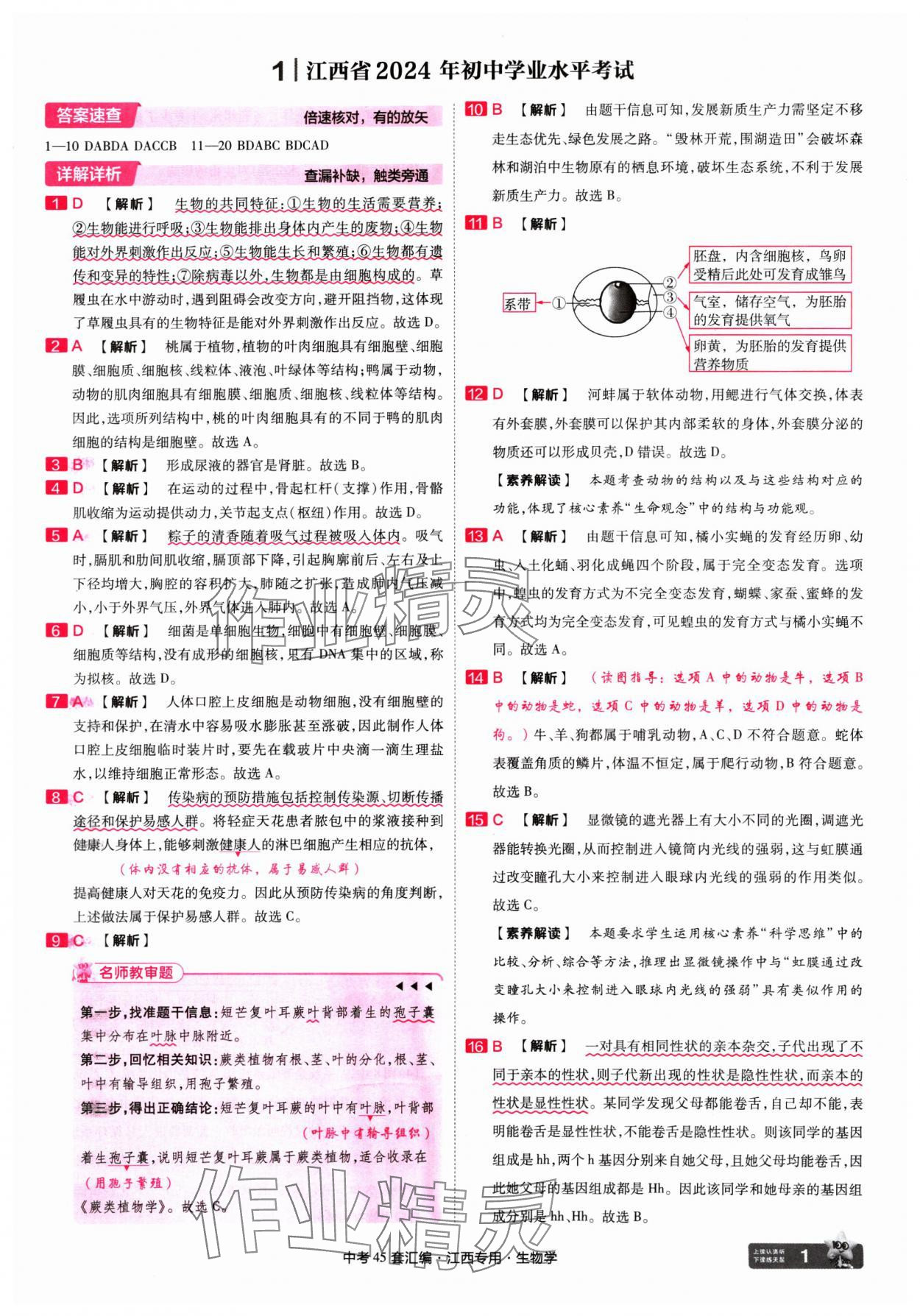 2025年金考卷45套匯編生物中考江西專版 第1頁