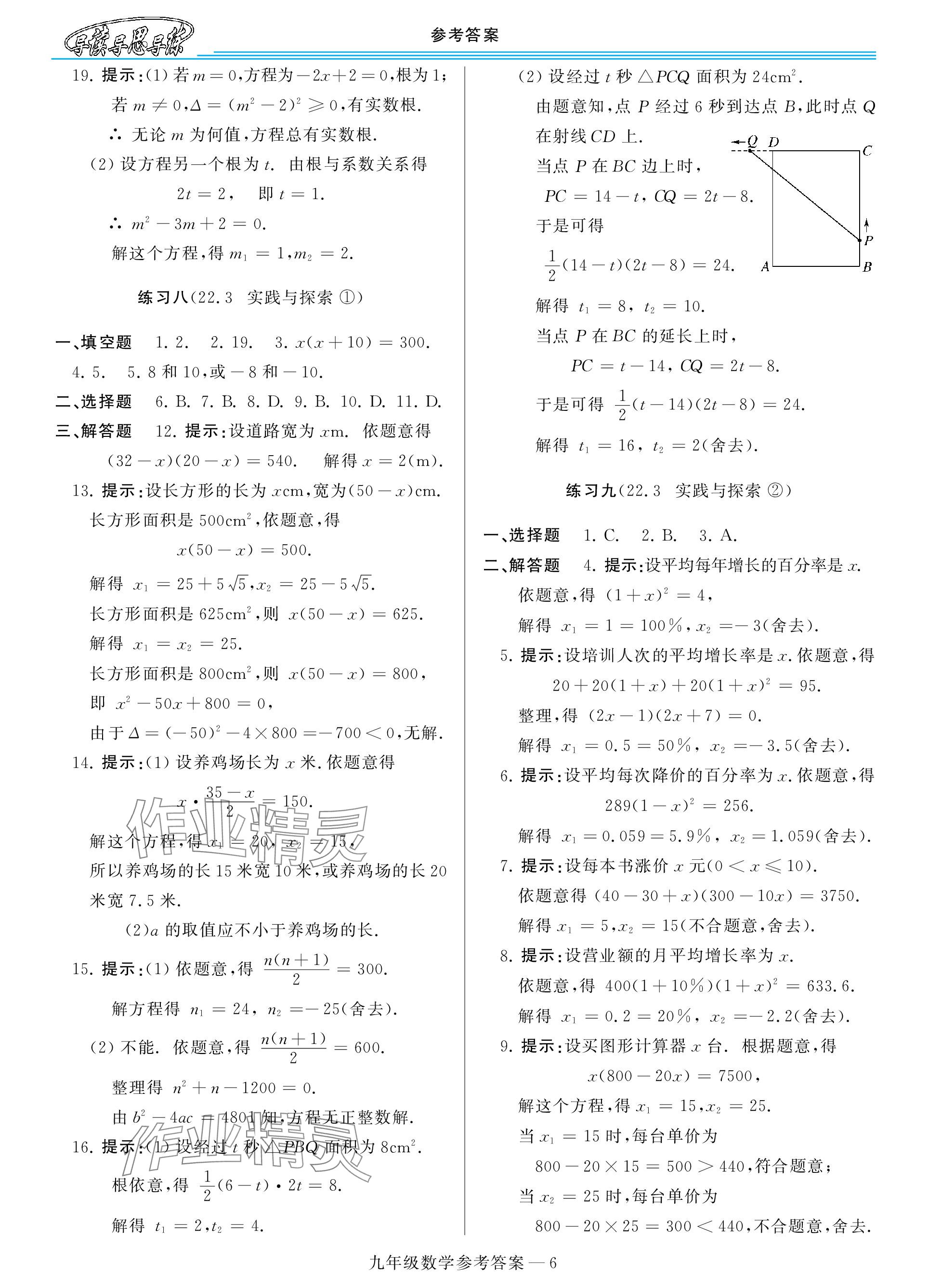 2023年新课程学习指导九年级数学全一册华师大版 参考答案第6页